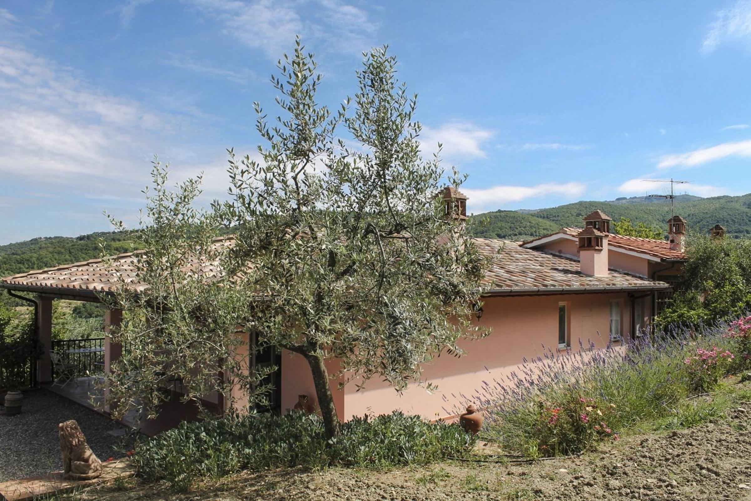 Tuscany Roses view 4