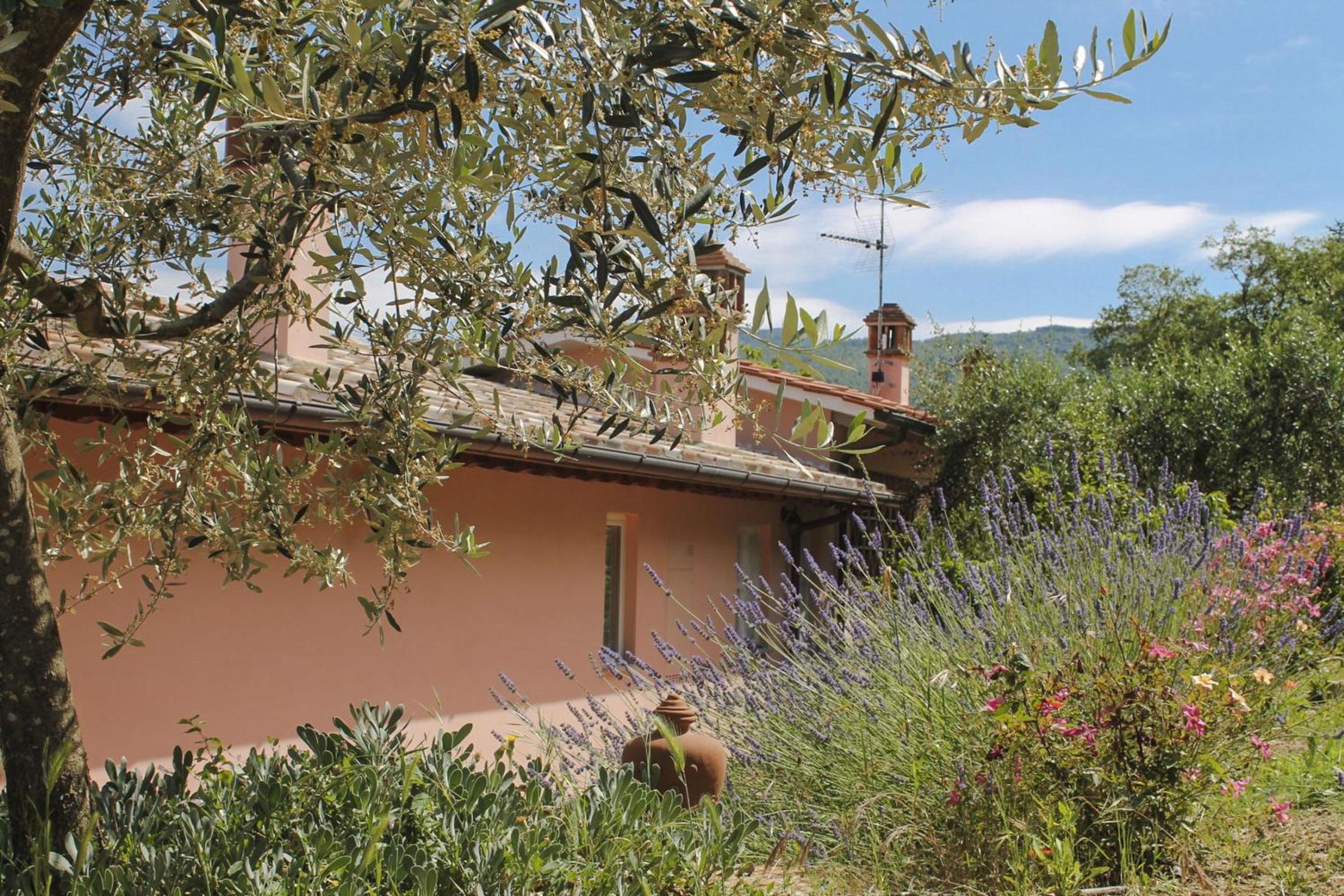 Tuscany Roses view 2