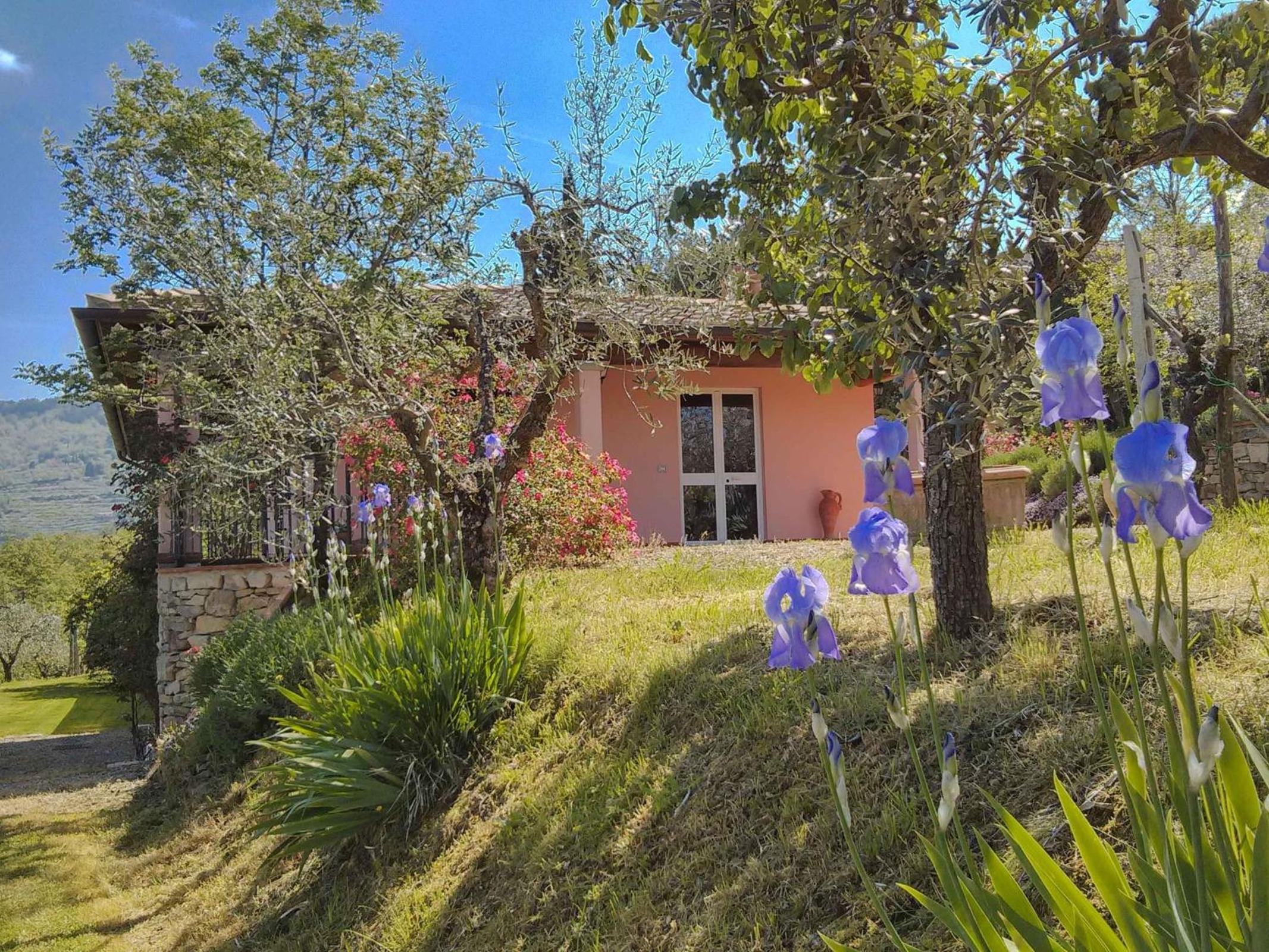 Photo 18