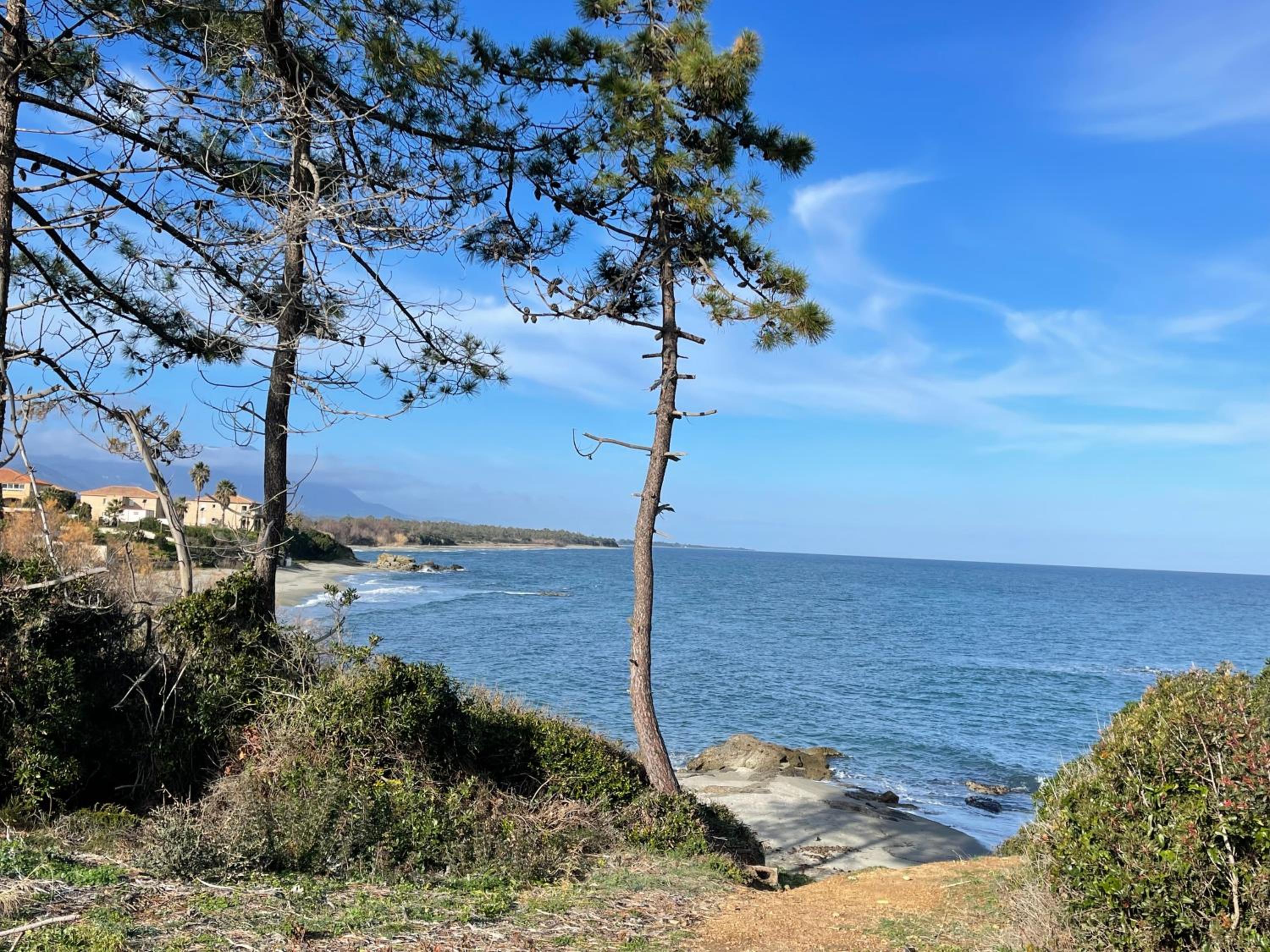 Carpediem-corsica Bravone