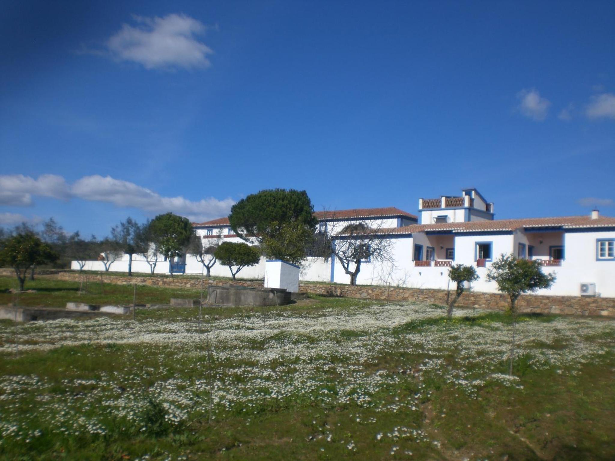 Photo 24
