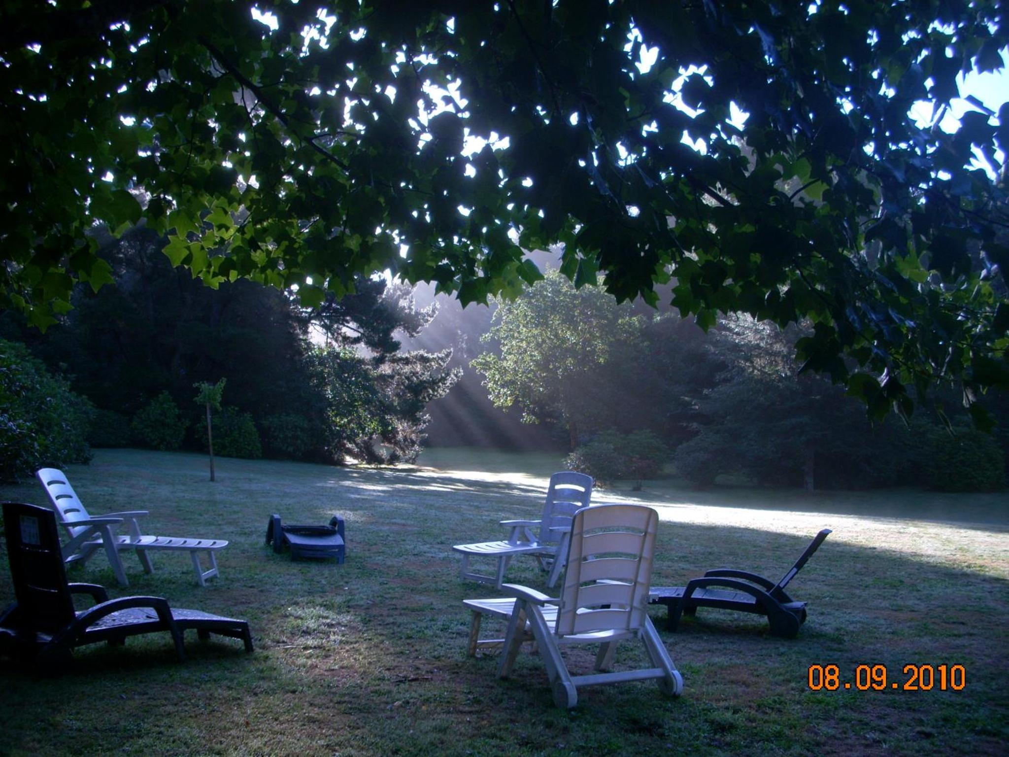 Photo 31