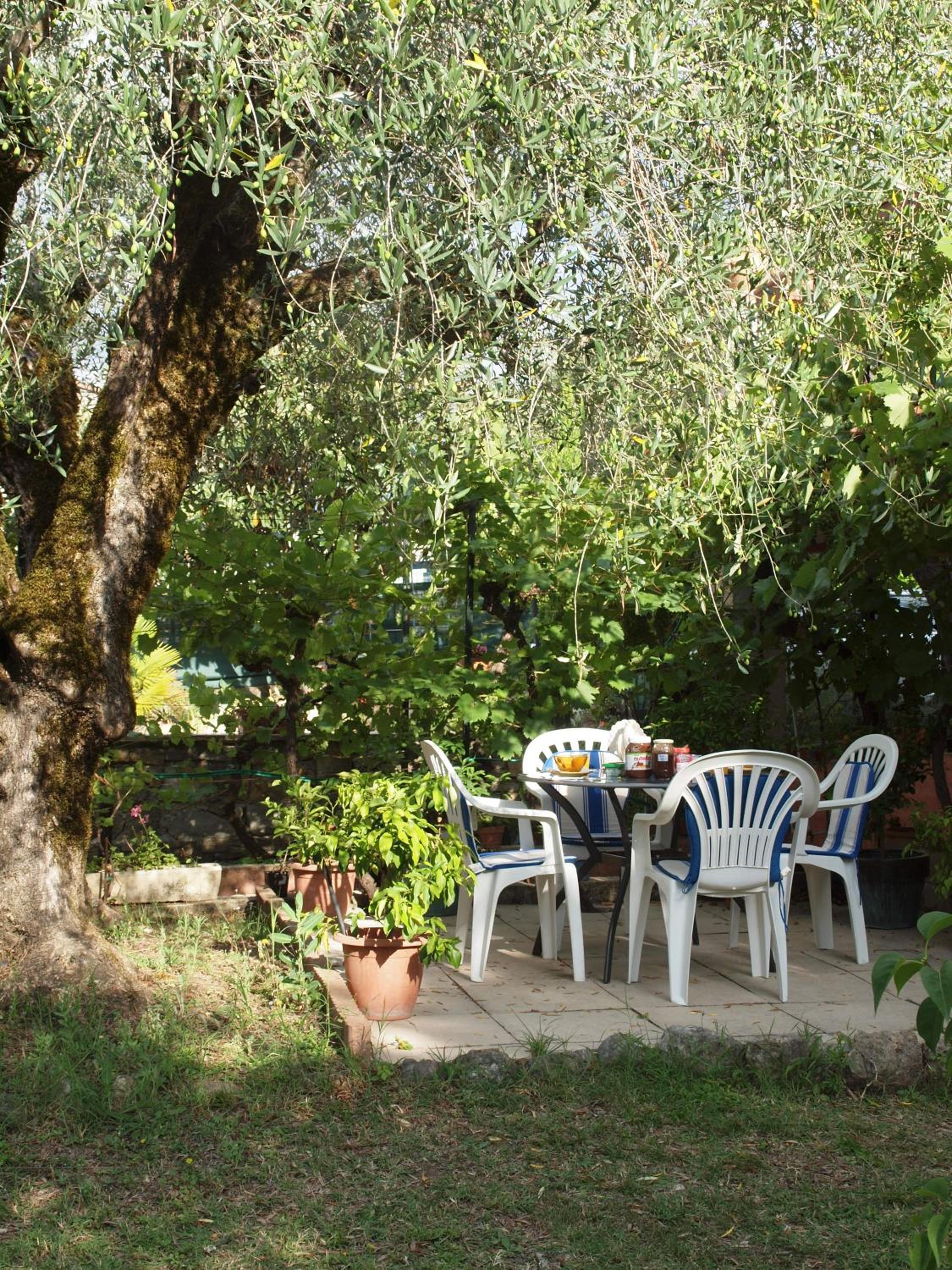 Photo 19
