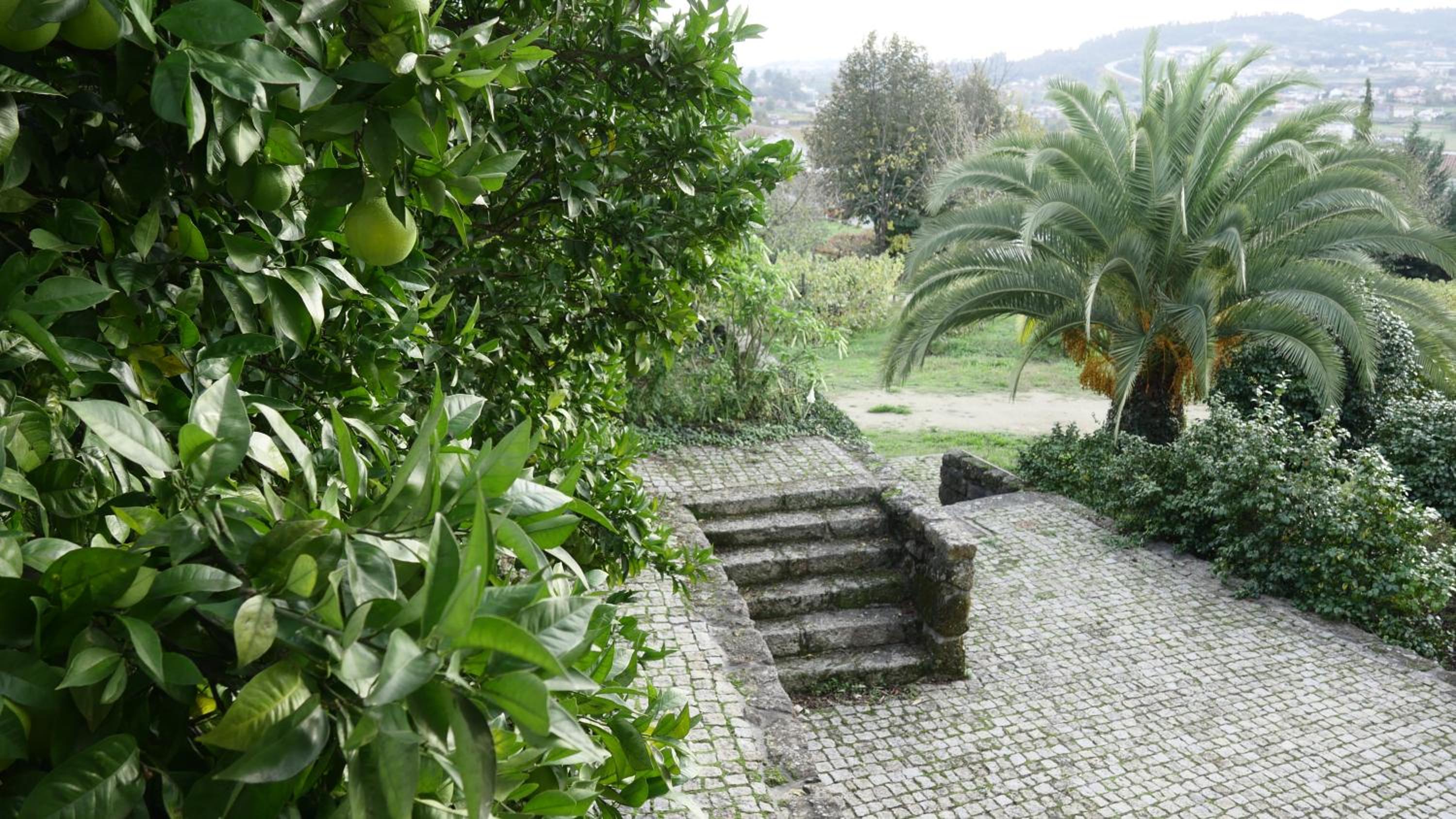 Quinta de Lourosa