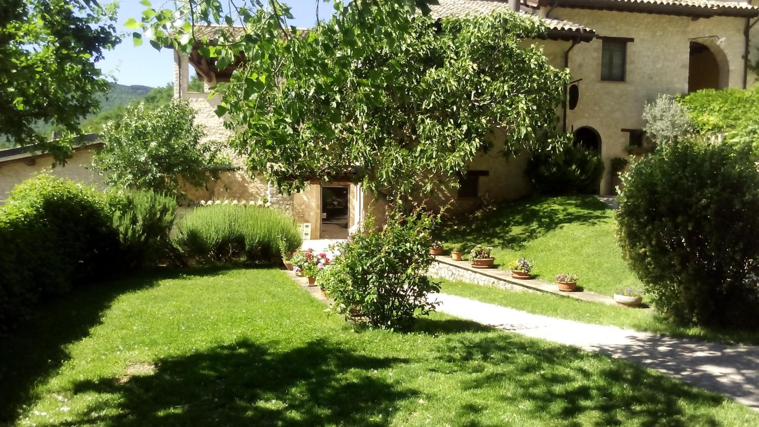 Photo 31