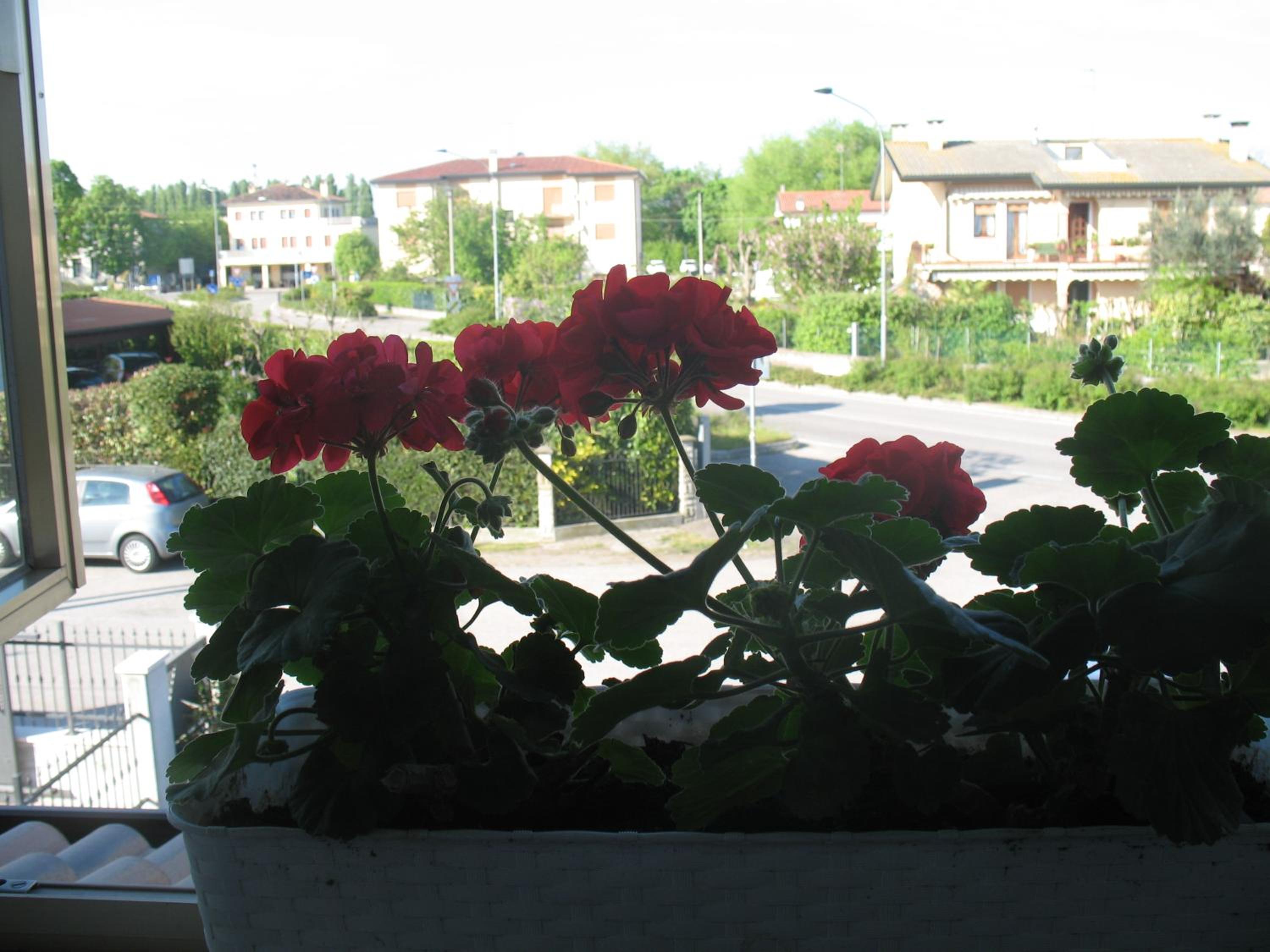 Photo 34