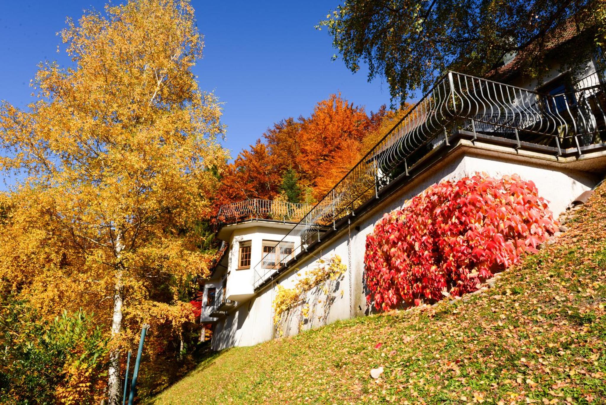Café Pension Waldfrieden