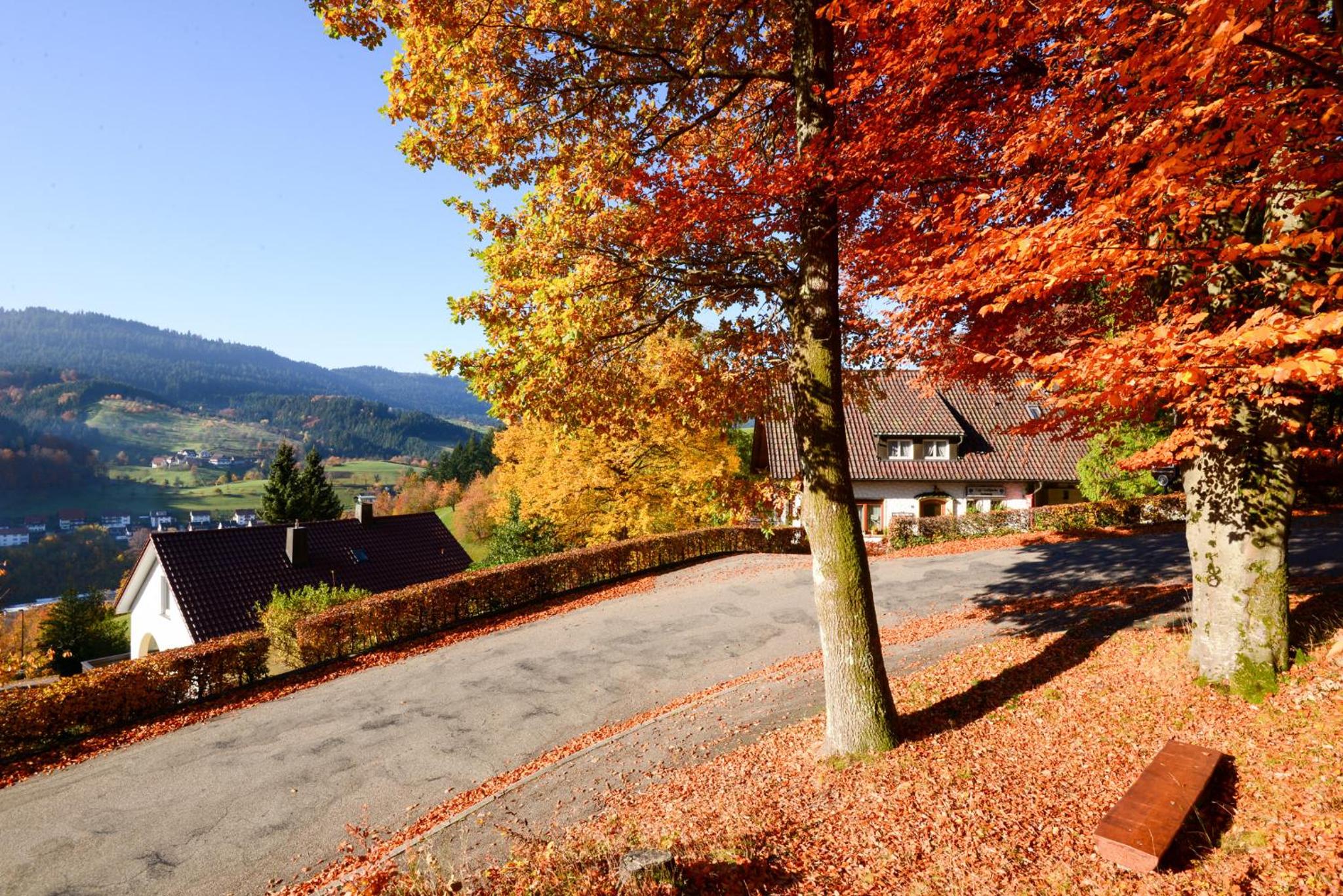 Café Pension Waldfrieden