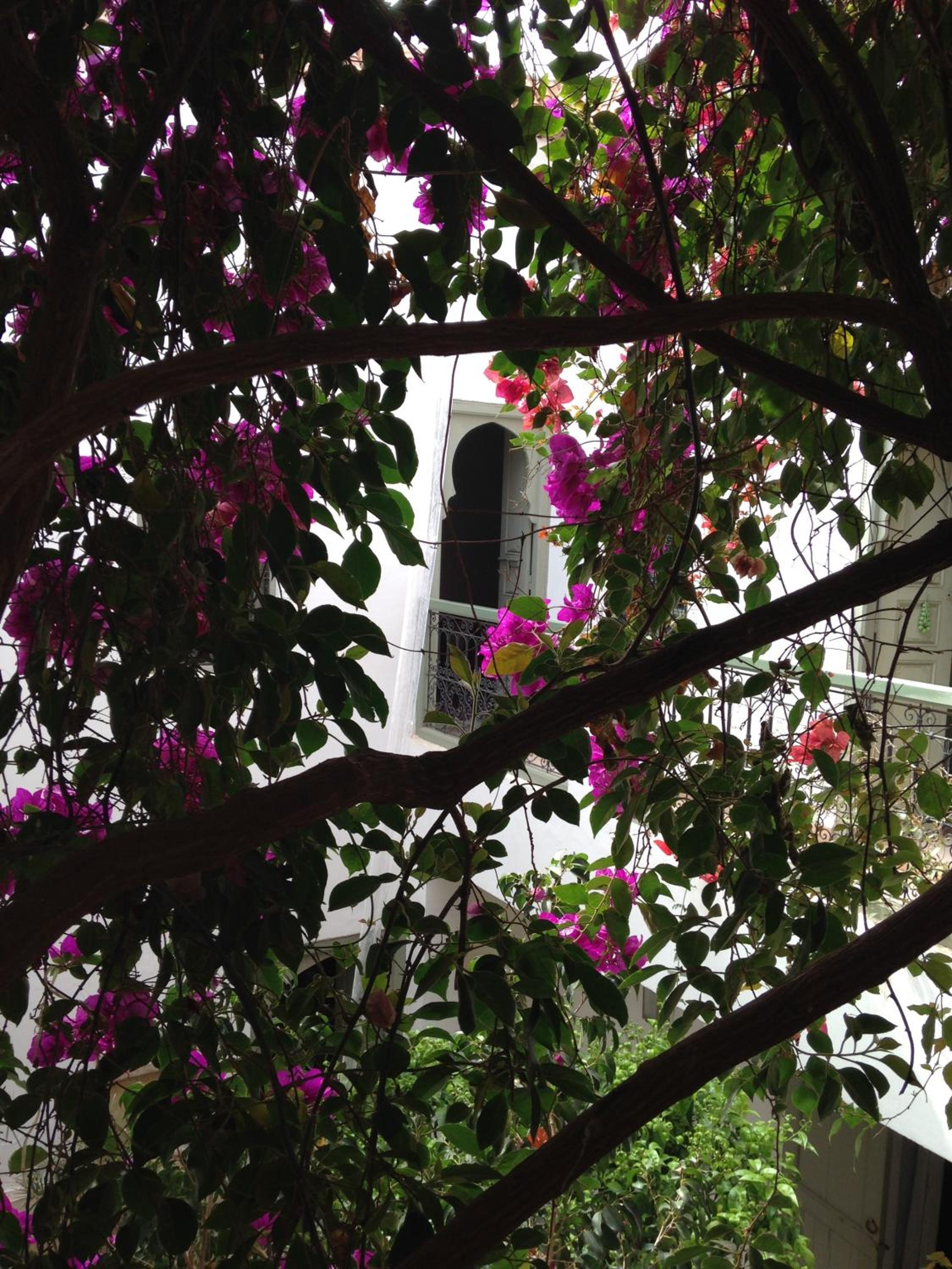 Riad Timila