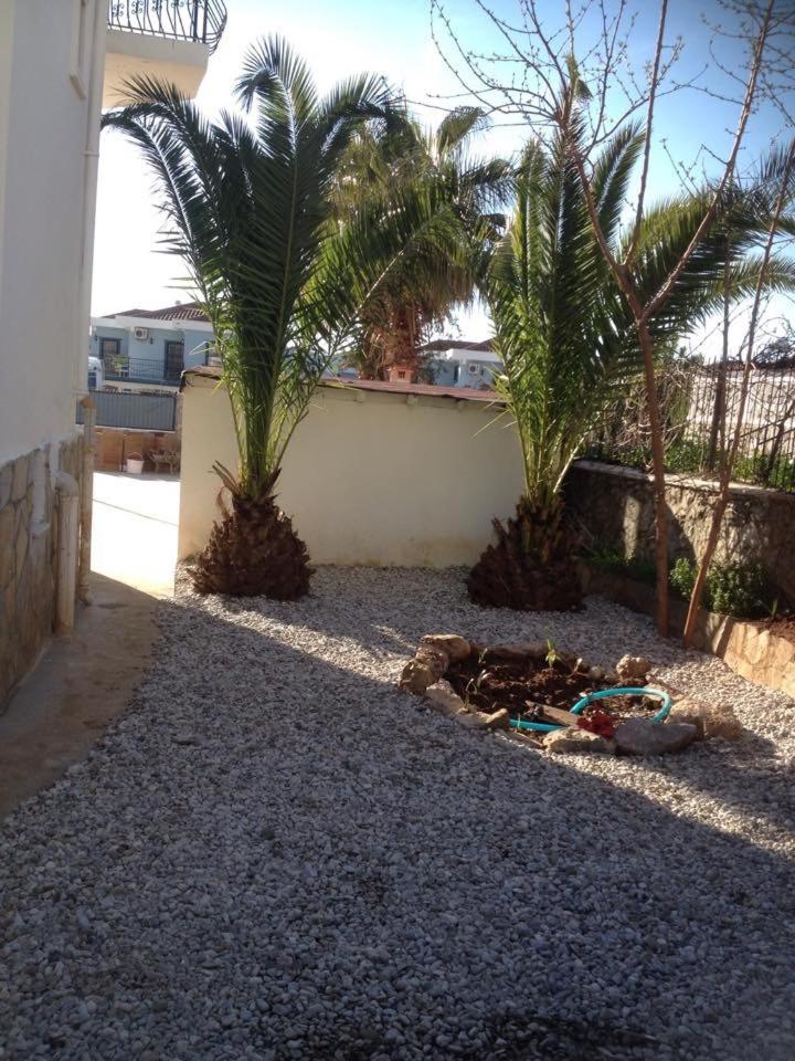 Photo 44