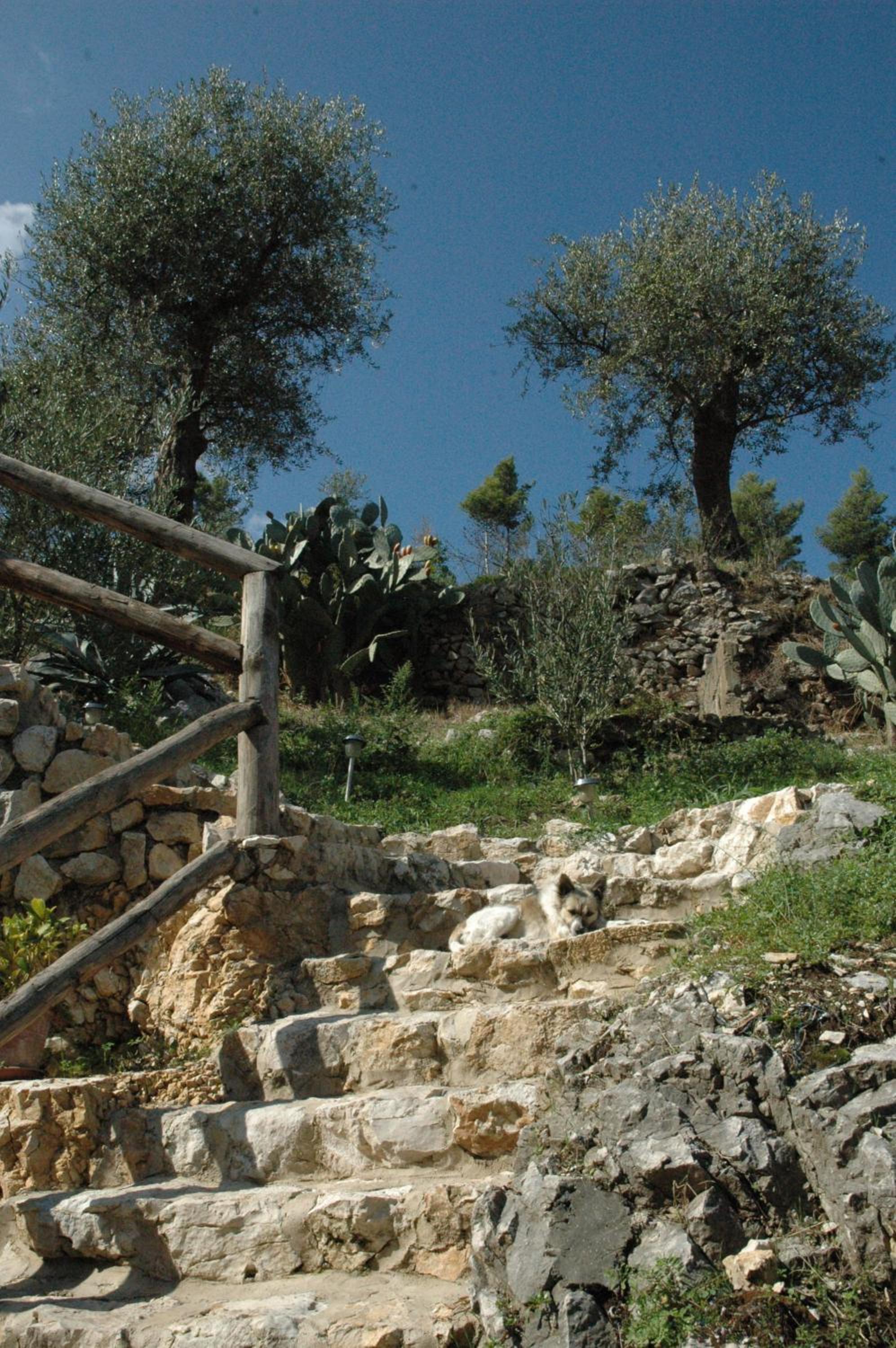 Sentieri Luminosi view 2