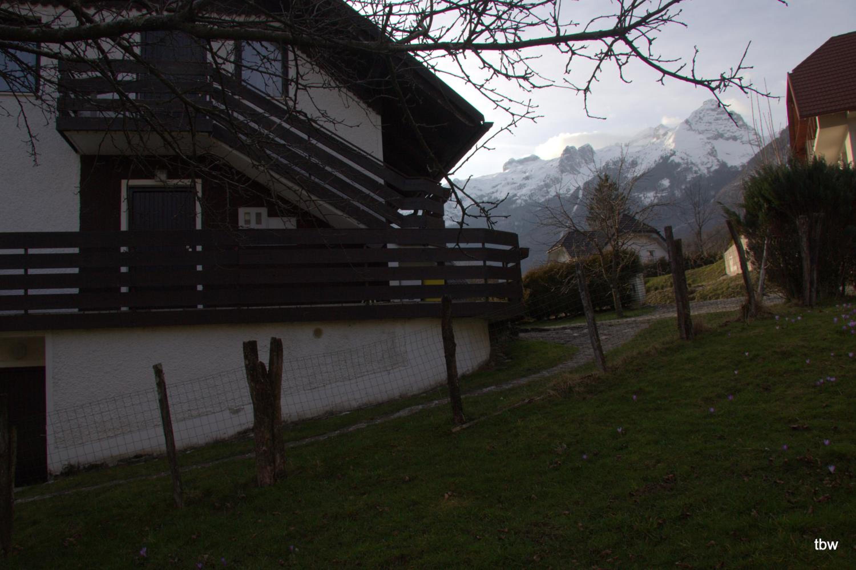 Photo 16
