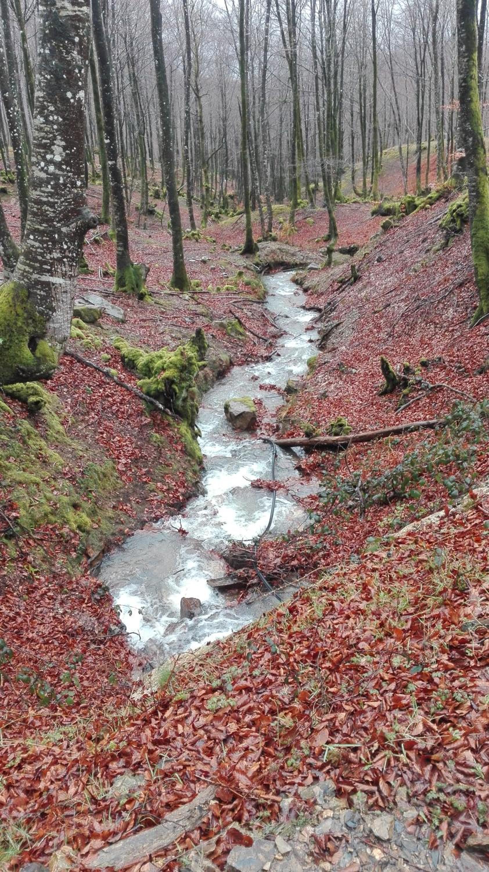 Photo 40