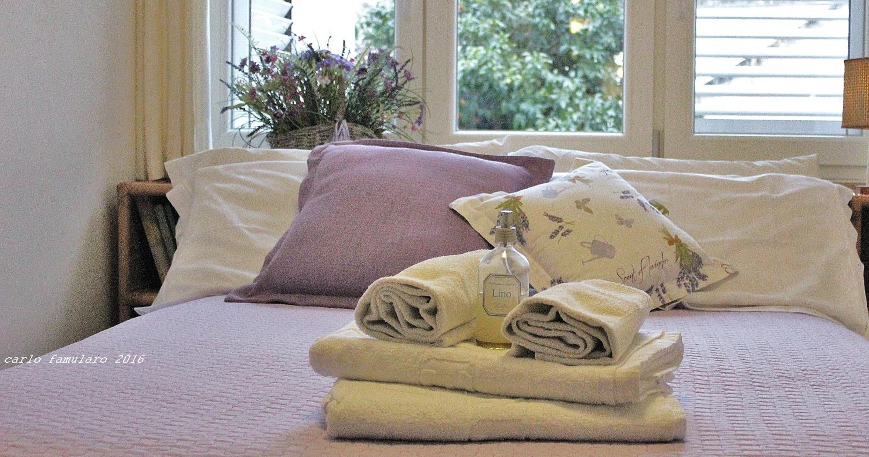 Villa Apollo B&B
