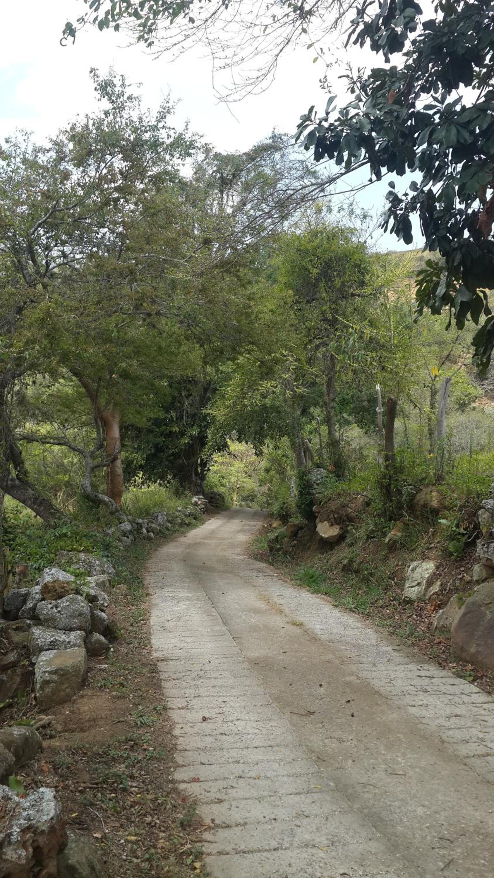 Photo 41