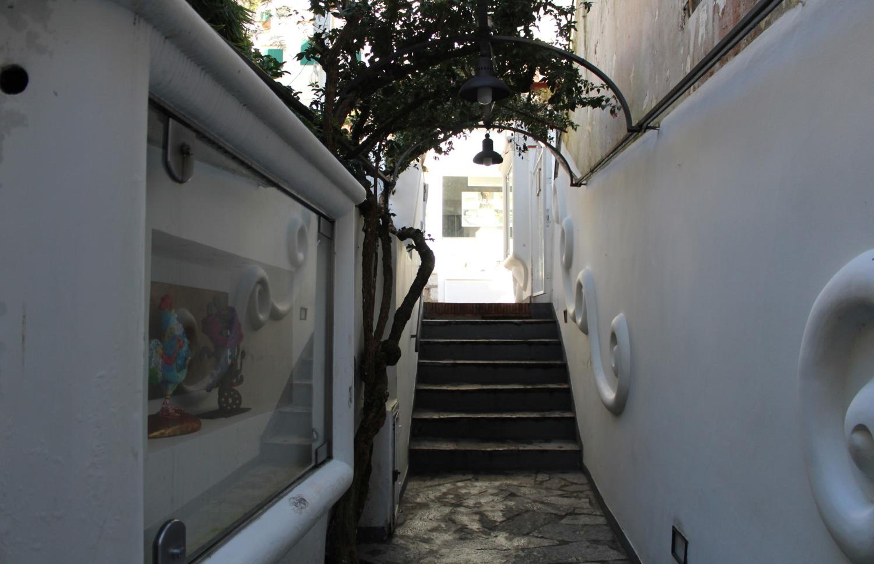 Villa Apollo B&B