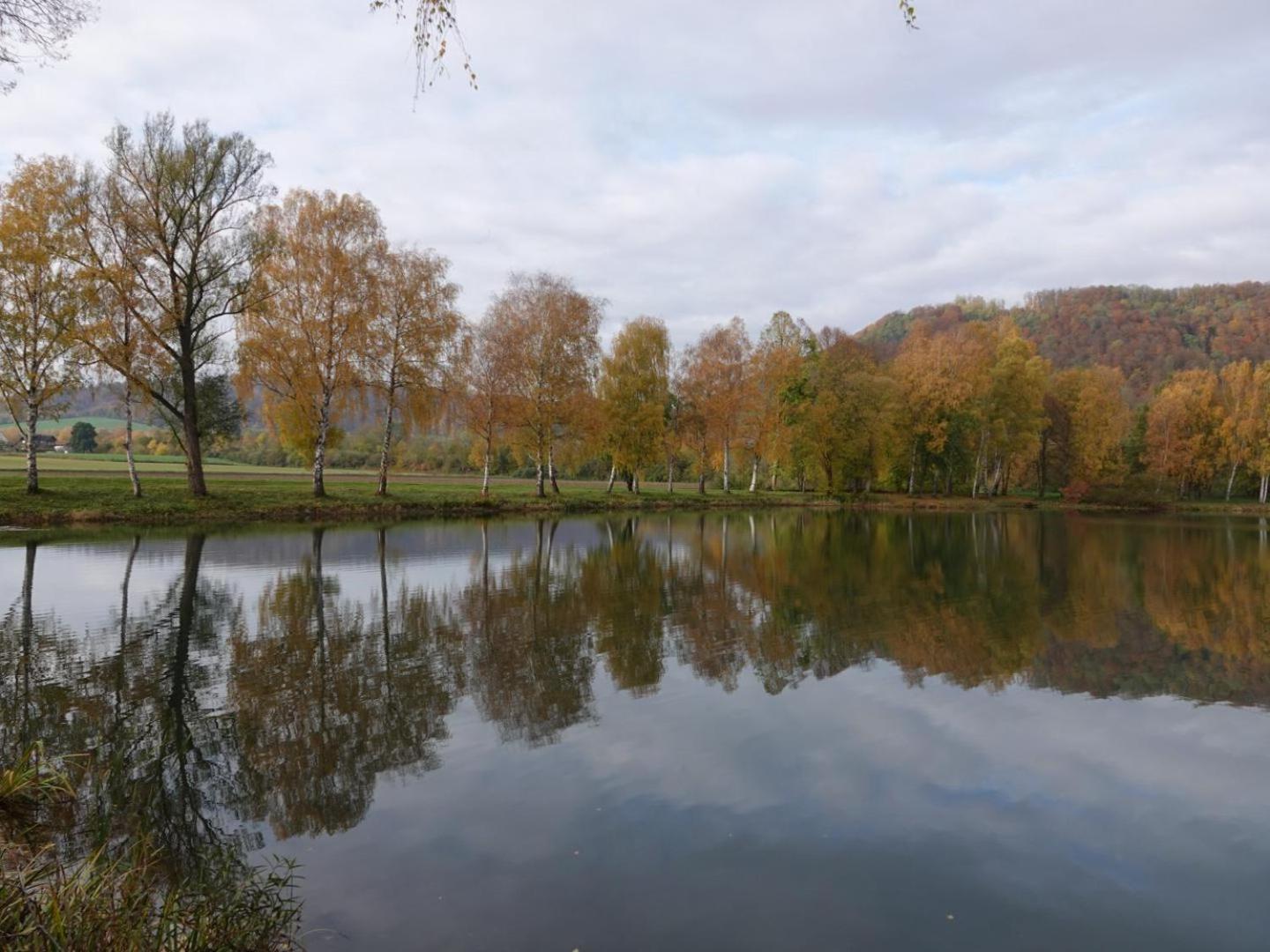 Ferienapartment MW 2b Höxter Weserbergland an der Weser inkl Küche, Wäsche, LAN, Parkplatz, Self CheckIn