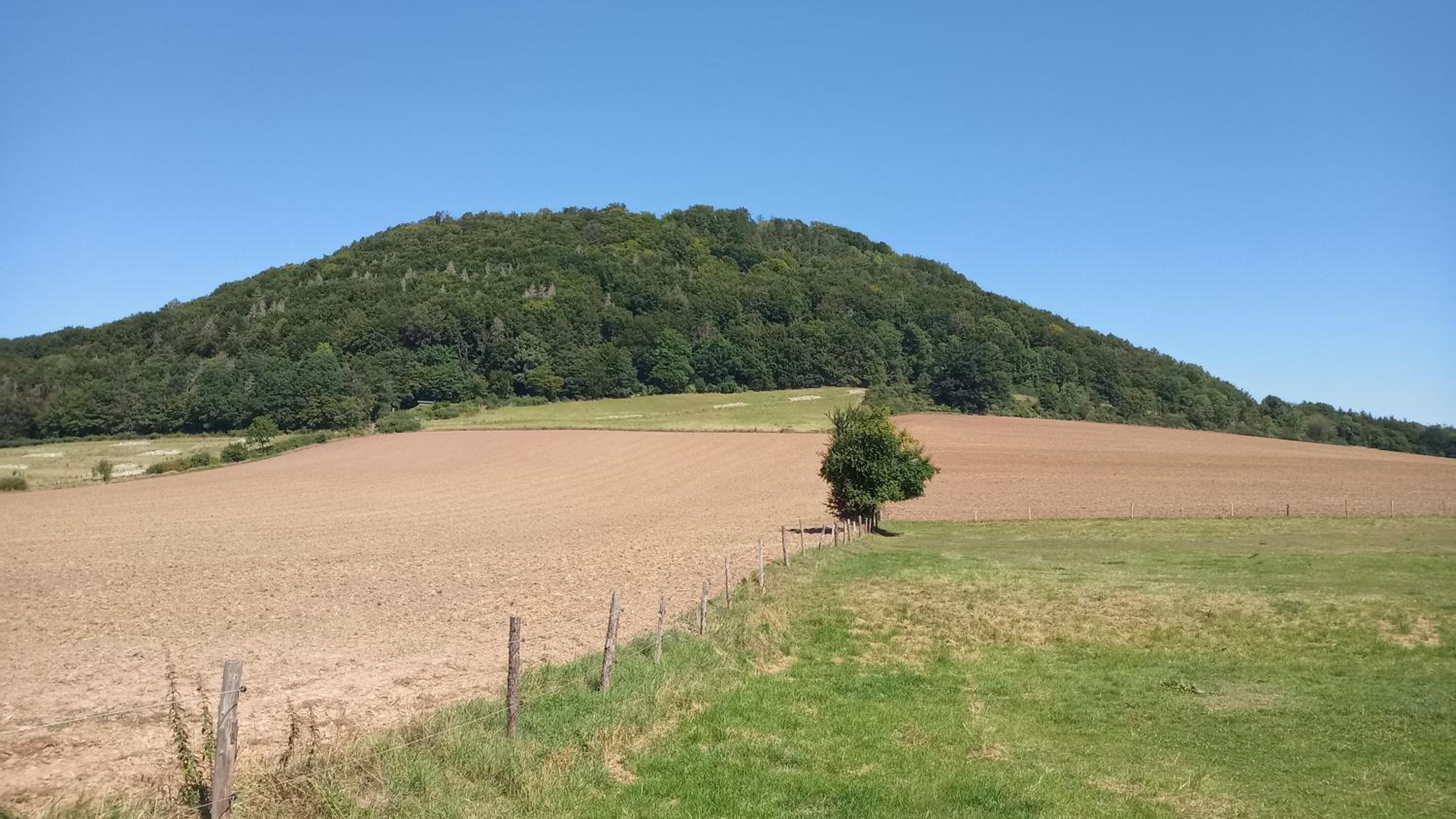 Ferienapartment MW 2b Höxter Weserbergland an der Weser inkl Küche, Wäsche, LAN, Parkplatz, Self CheckIn