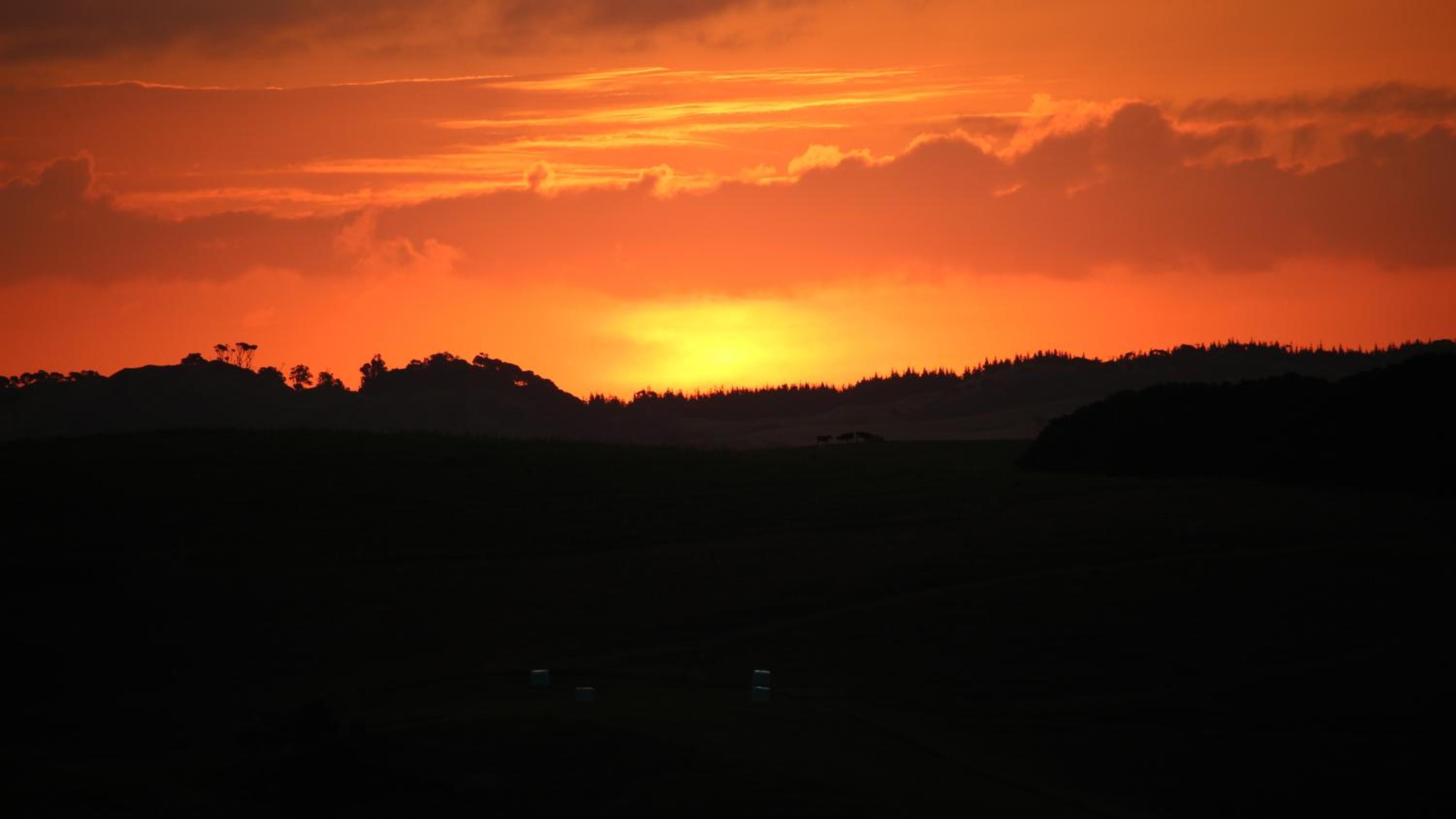 Pukeatua Farmstay