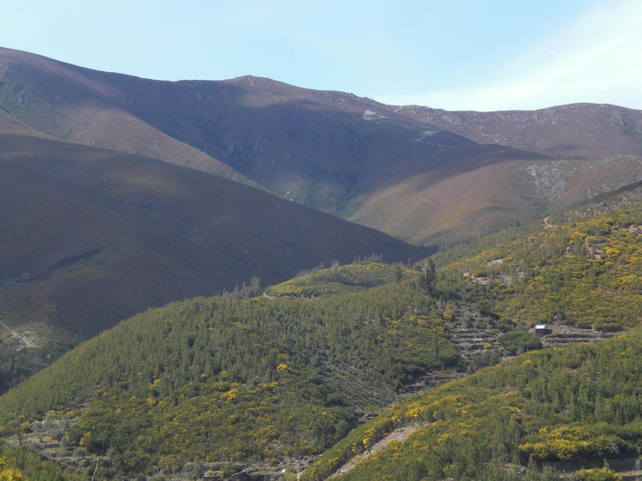 Photo 45