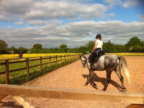 The Stables - Deer Park Farm