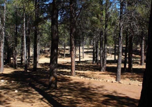 Arizona Mountain Inn & Cabins