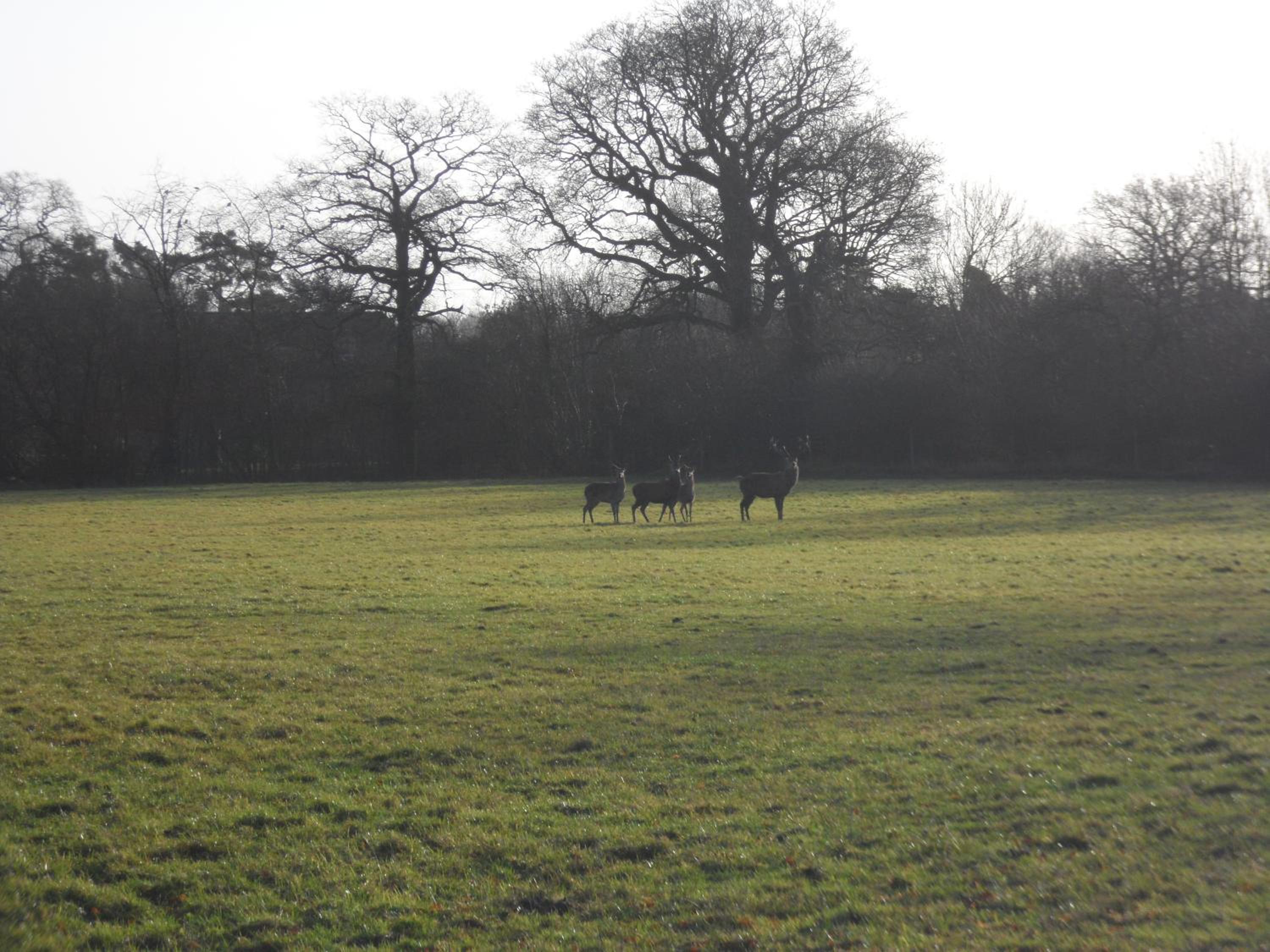 The Stables - Deer Park Farm