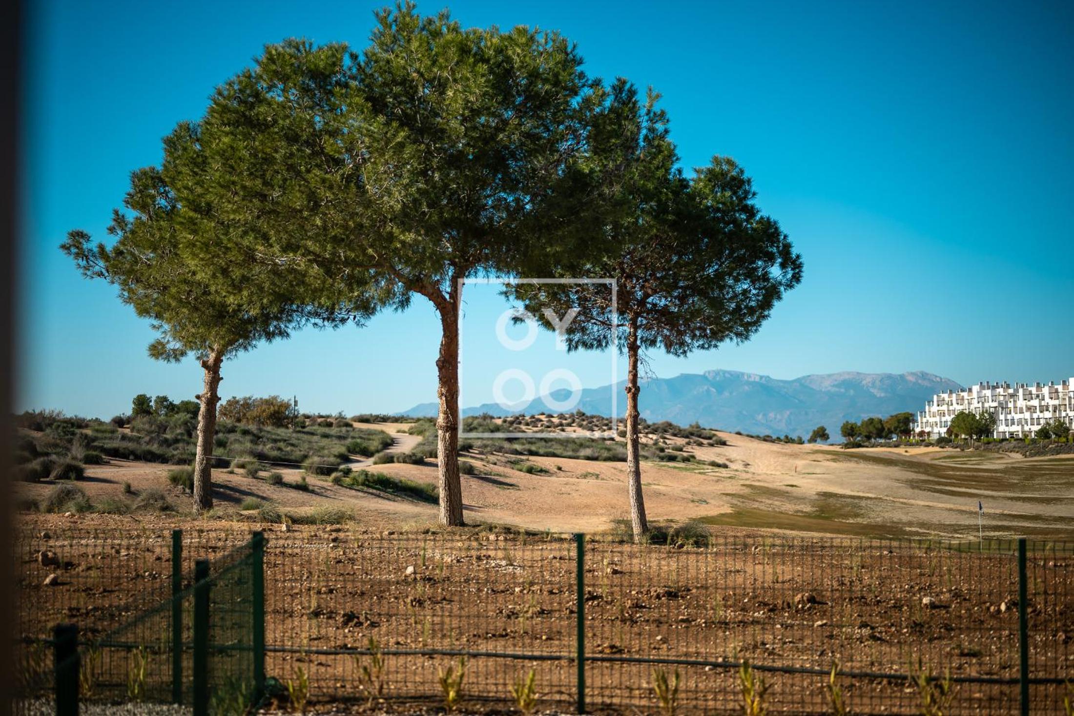 Isla de la Luz mountain lake views by OYOOSTAYS