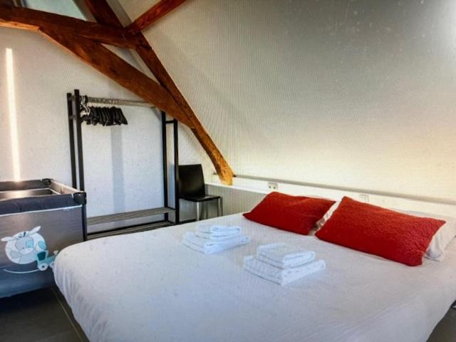SCHRAVENHOEk met indoorzwembad en sauna