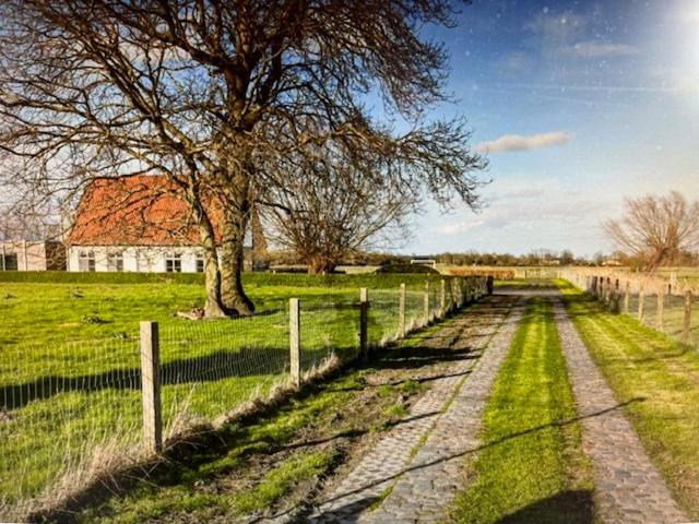 SCHRAVENHOEk met indoorzwembad en sauna