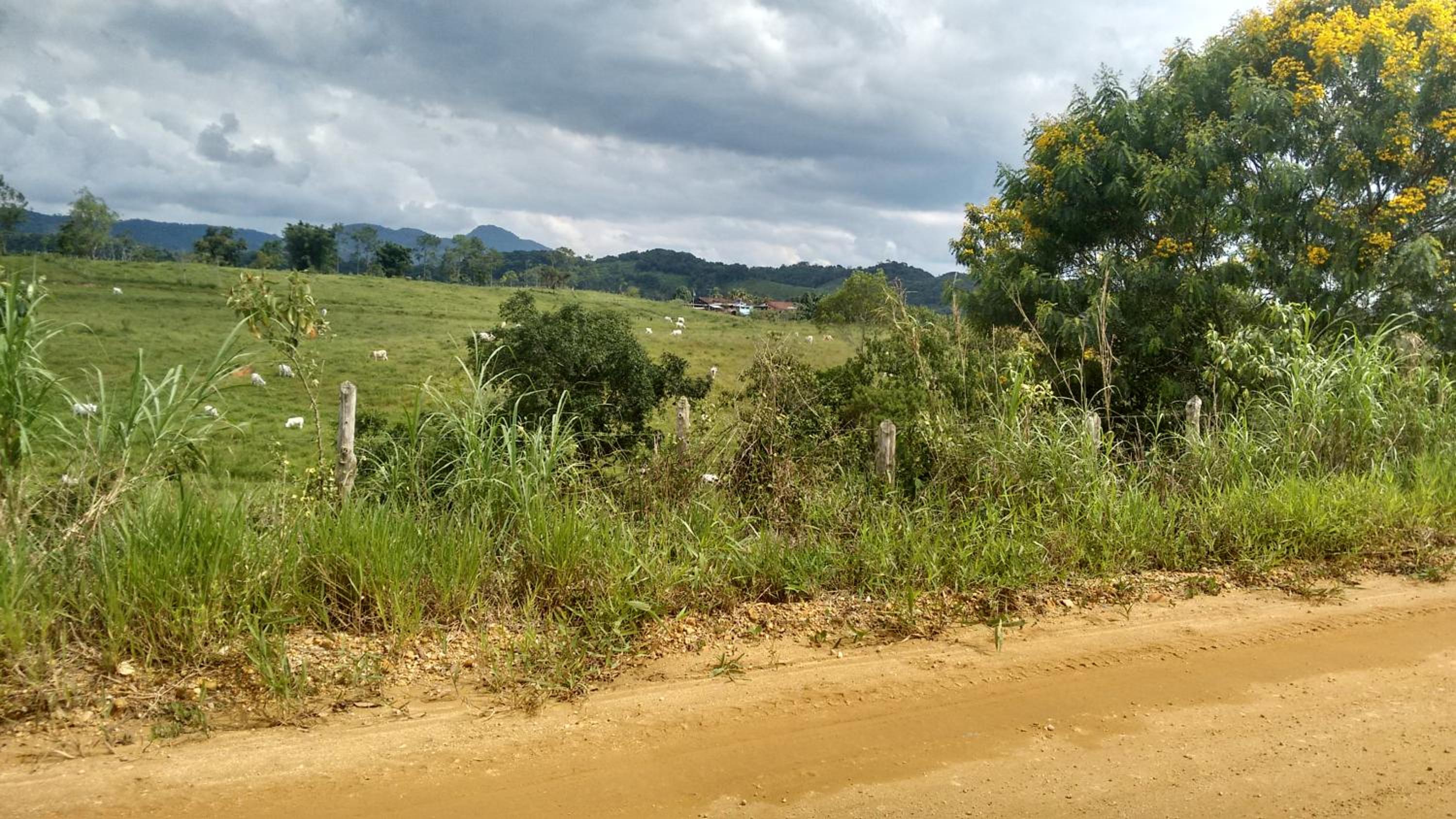 Pousada Rural Ouro Verde