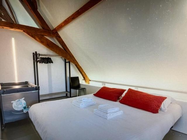 SCHRAVENHOEk met indoorzwembad en sauna