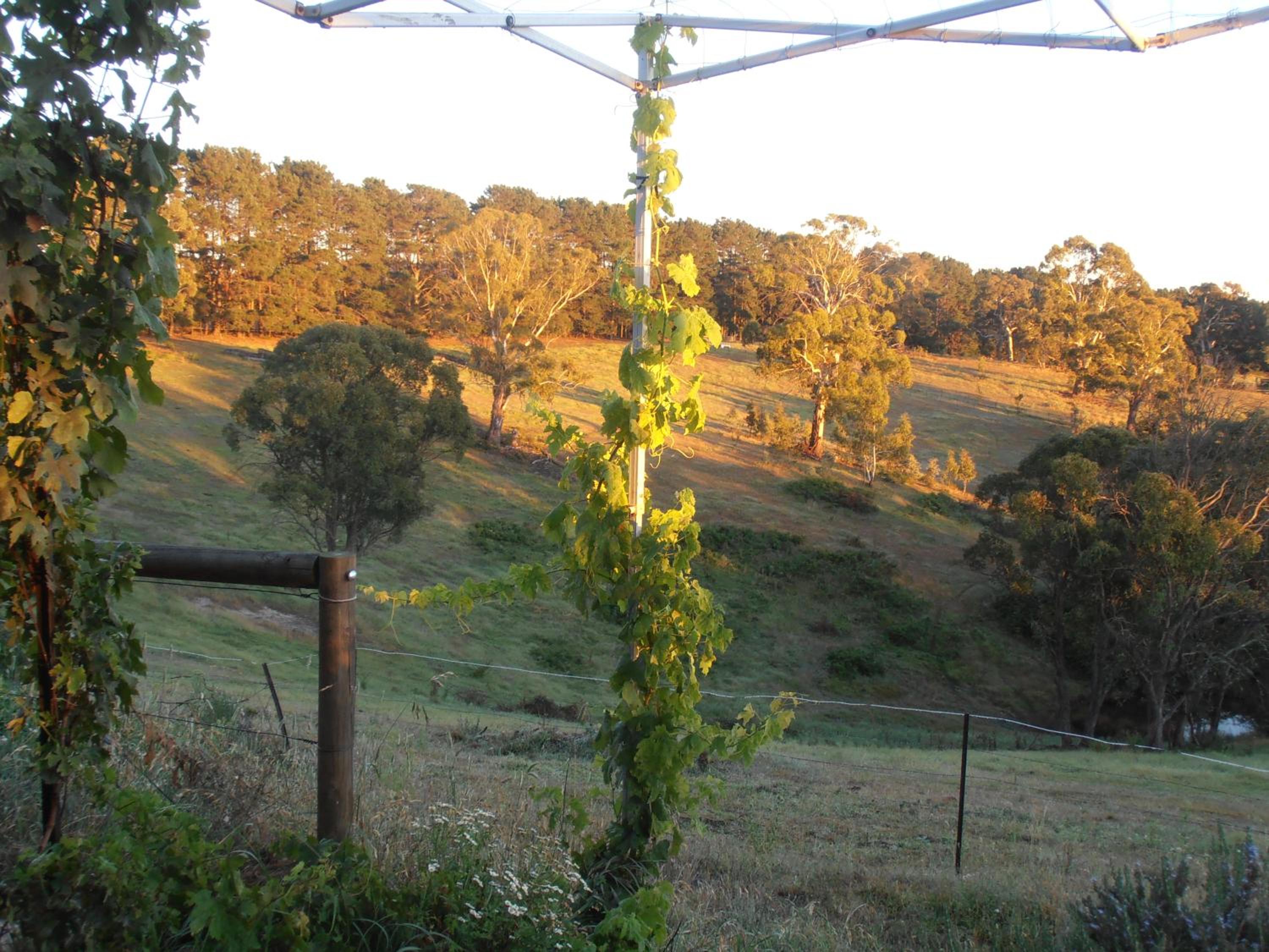 Springmead B&B