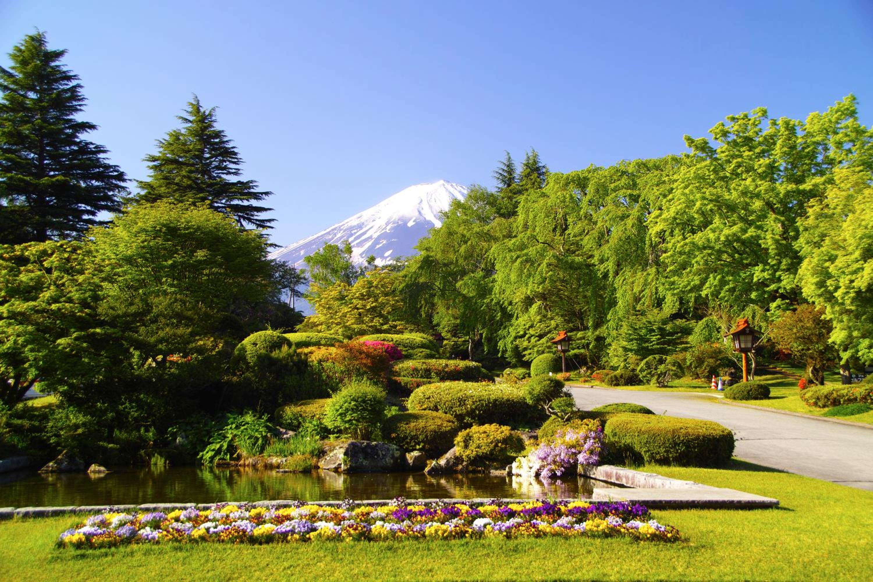 Fuji View Hotel