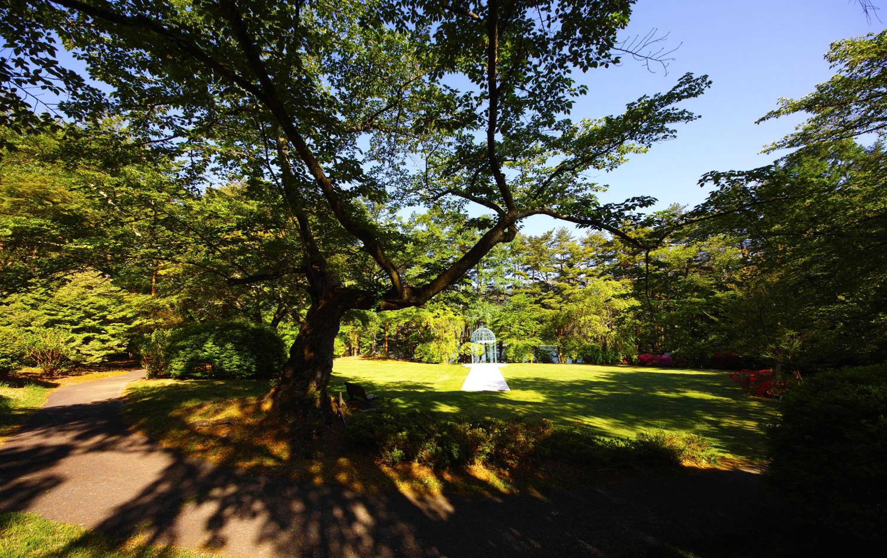 Fuji View Hotel