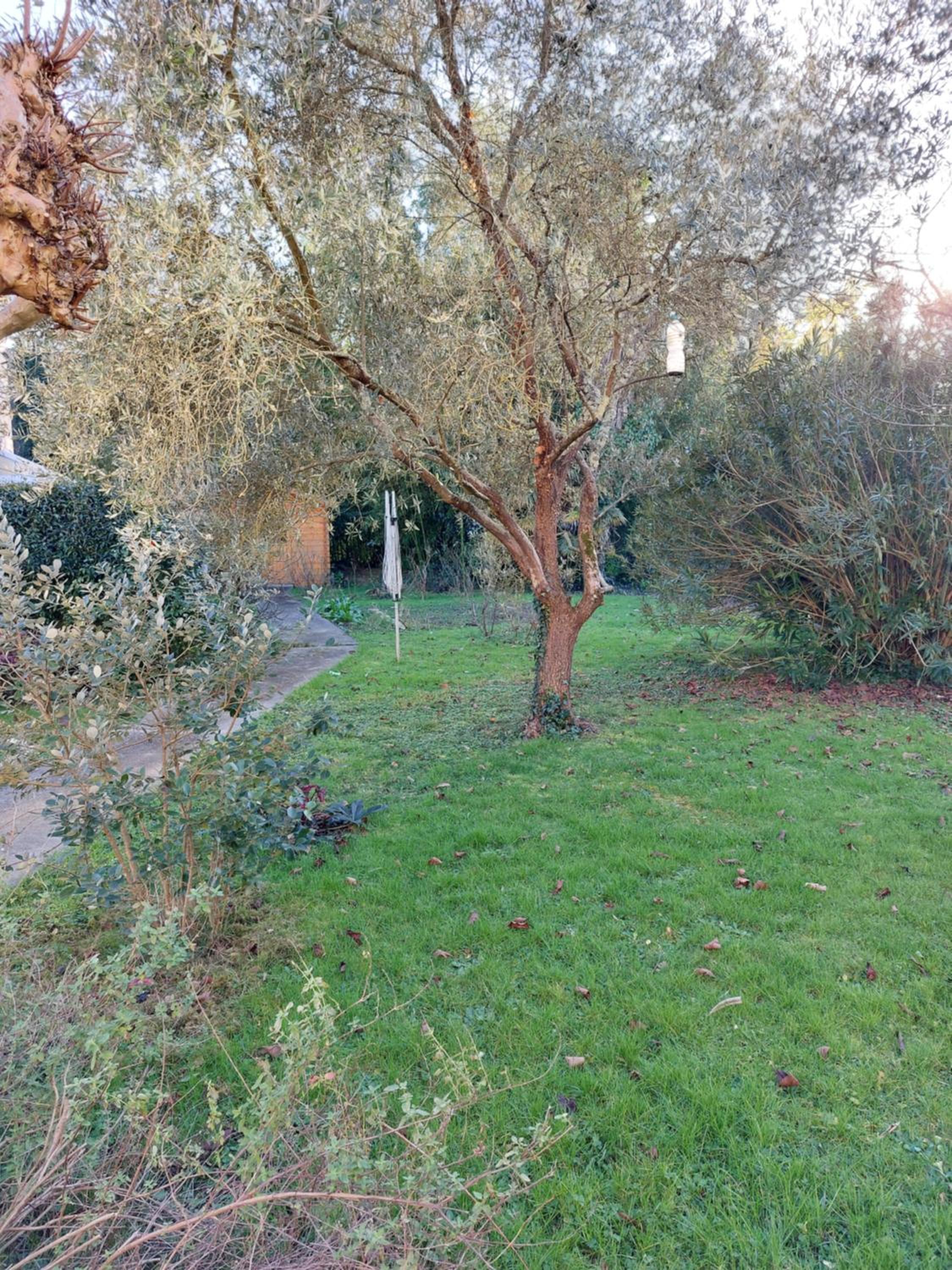 Jardin Dangla