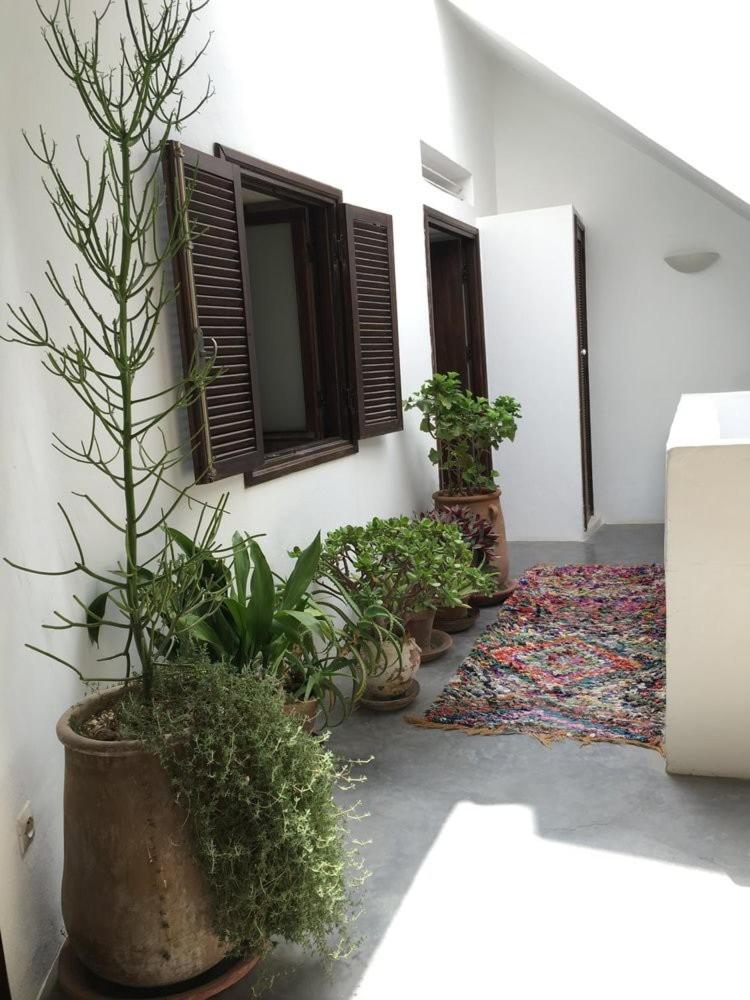 Villa Atlantic luxe soft Terrasses sur l' océan