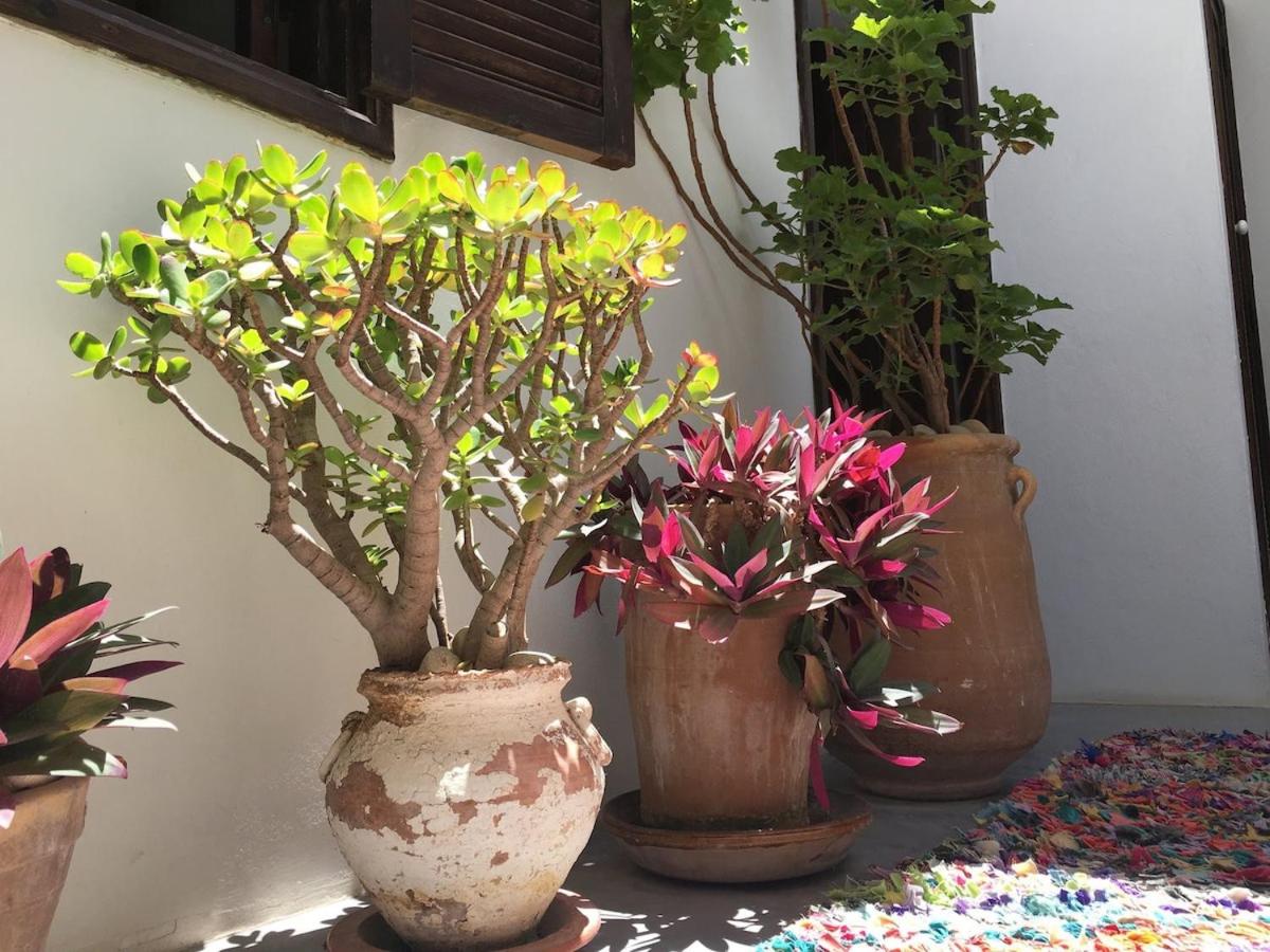 Villa Atlantic luxe soft Terrasses sur l' océan