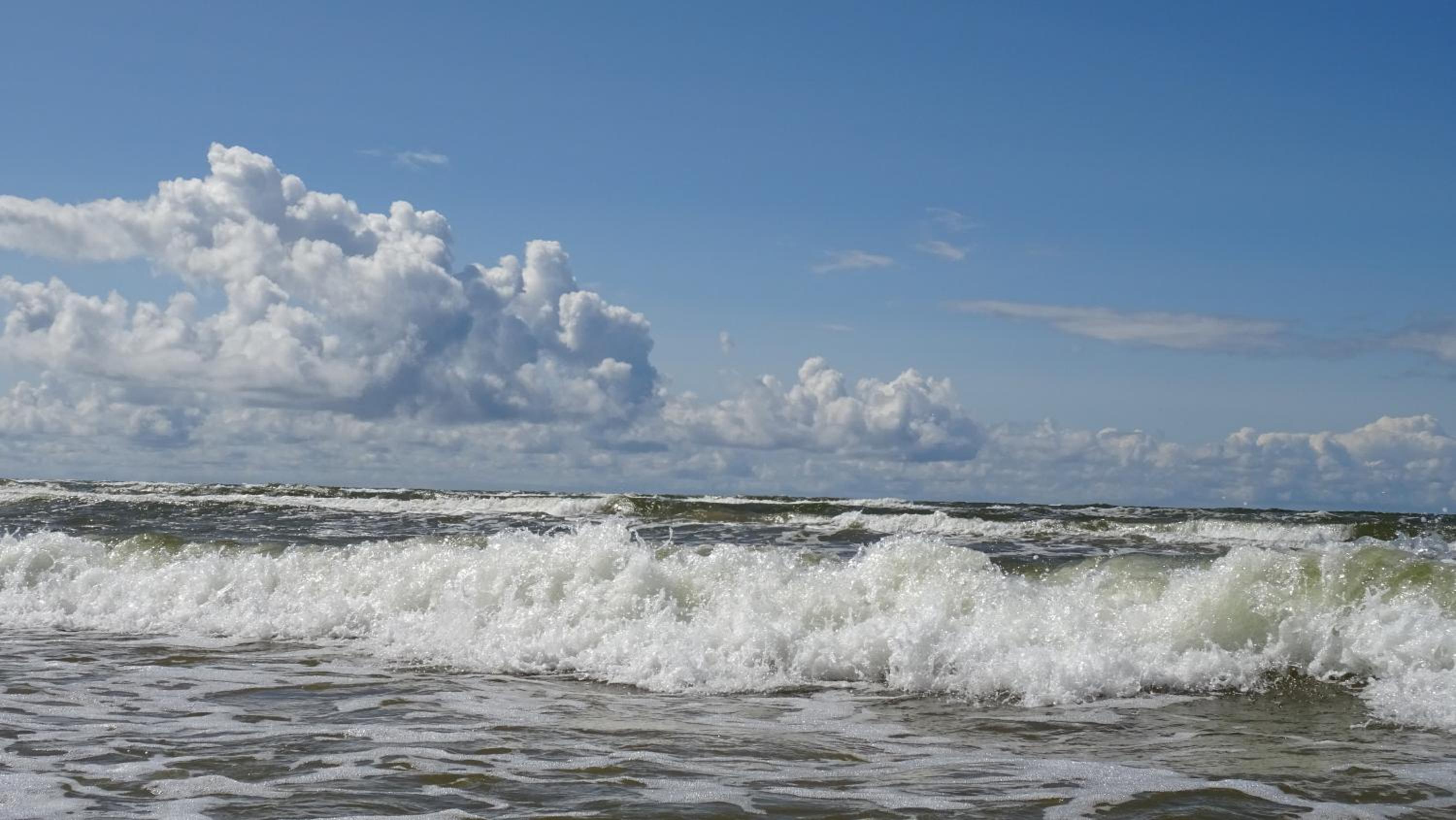 Photo 51
