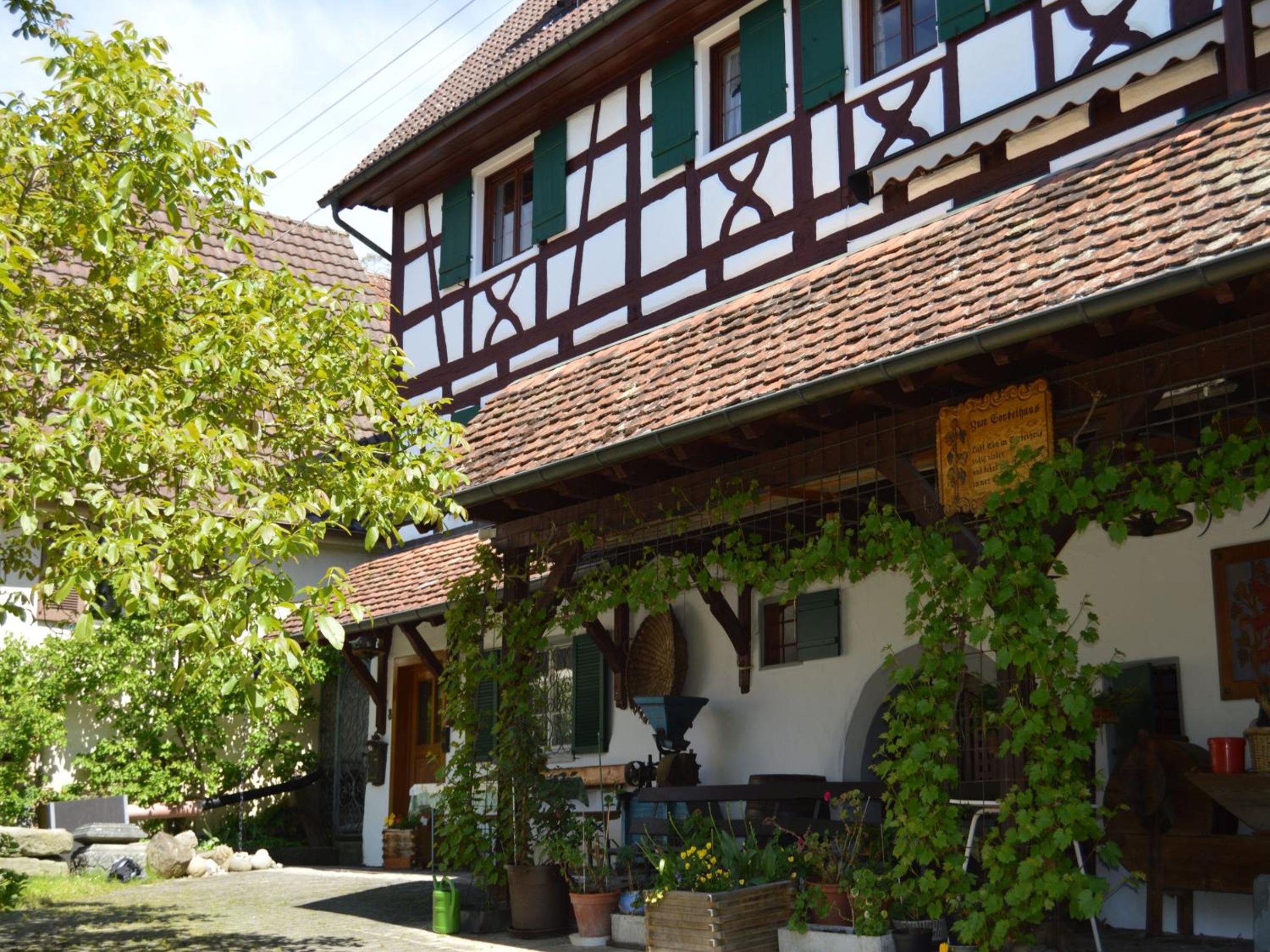 Zum Torkelhaus view 2