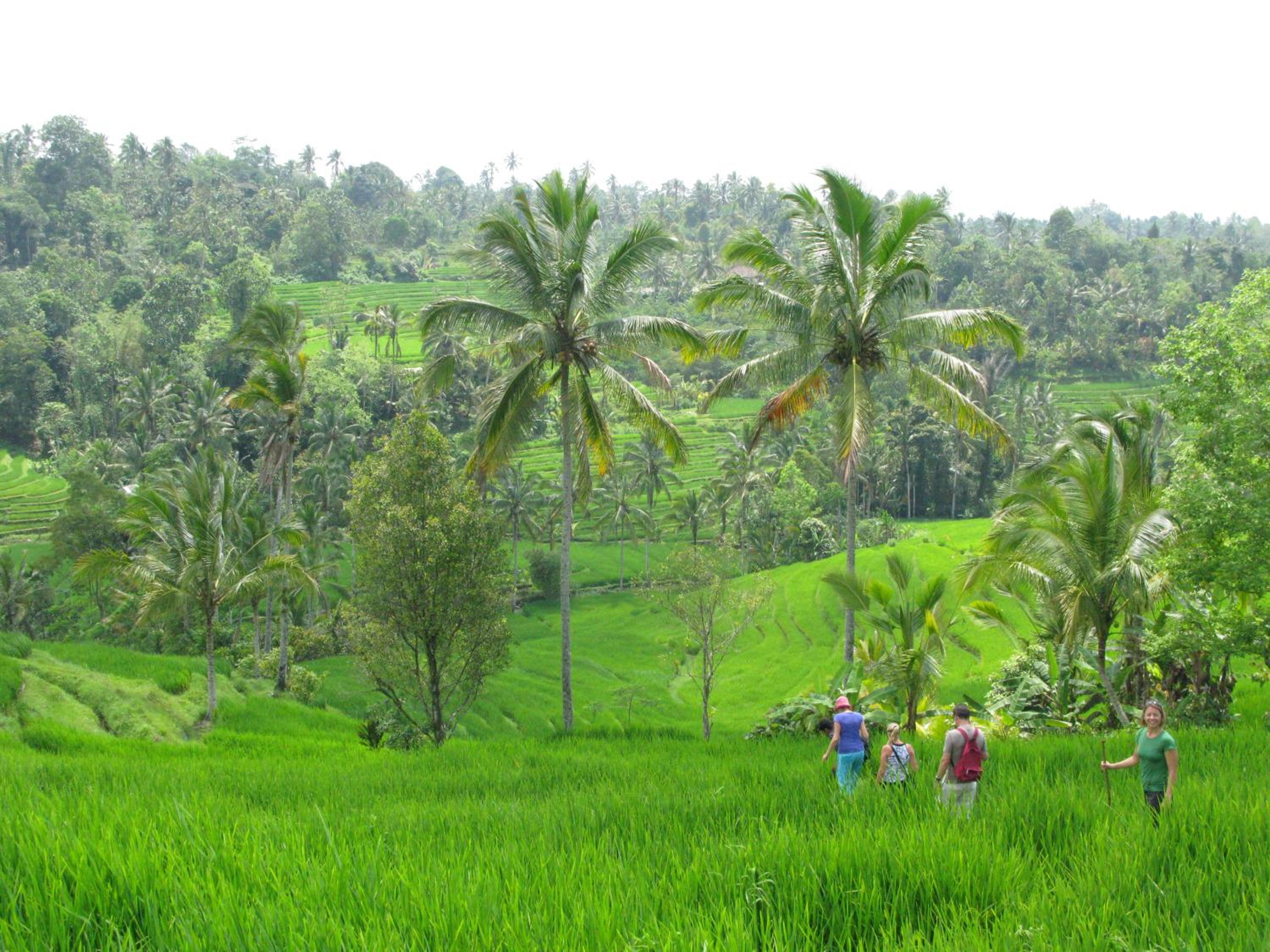 Prana Dewi Mountain Resort