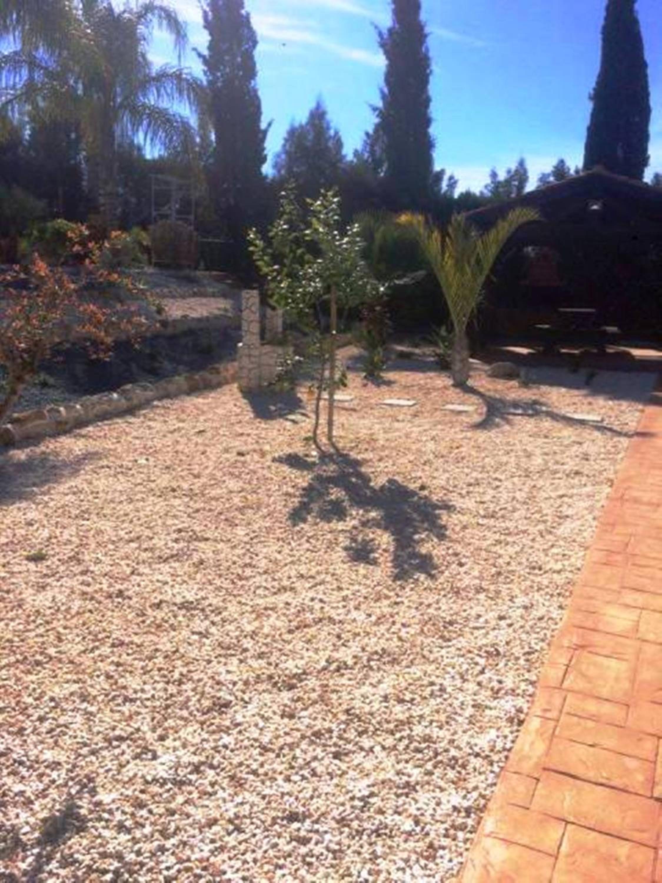 Photo 25