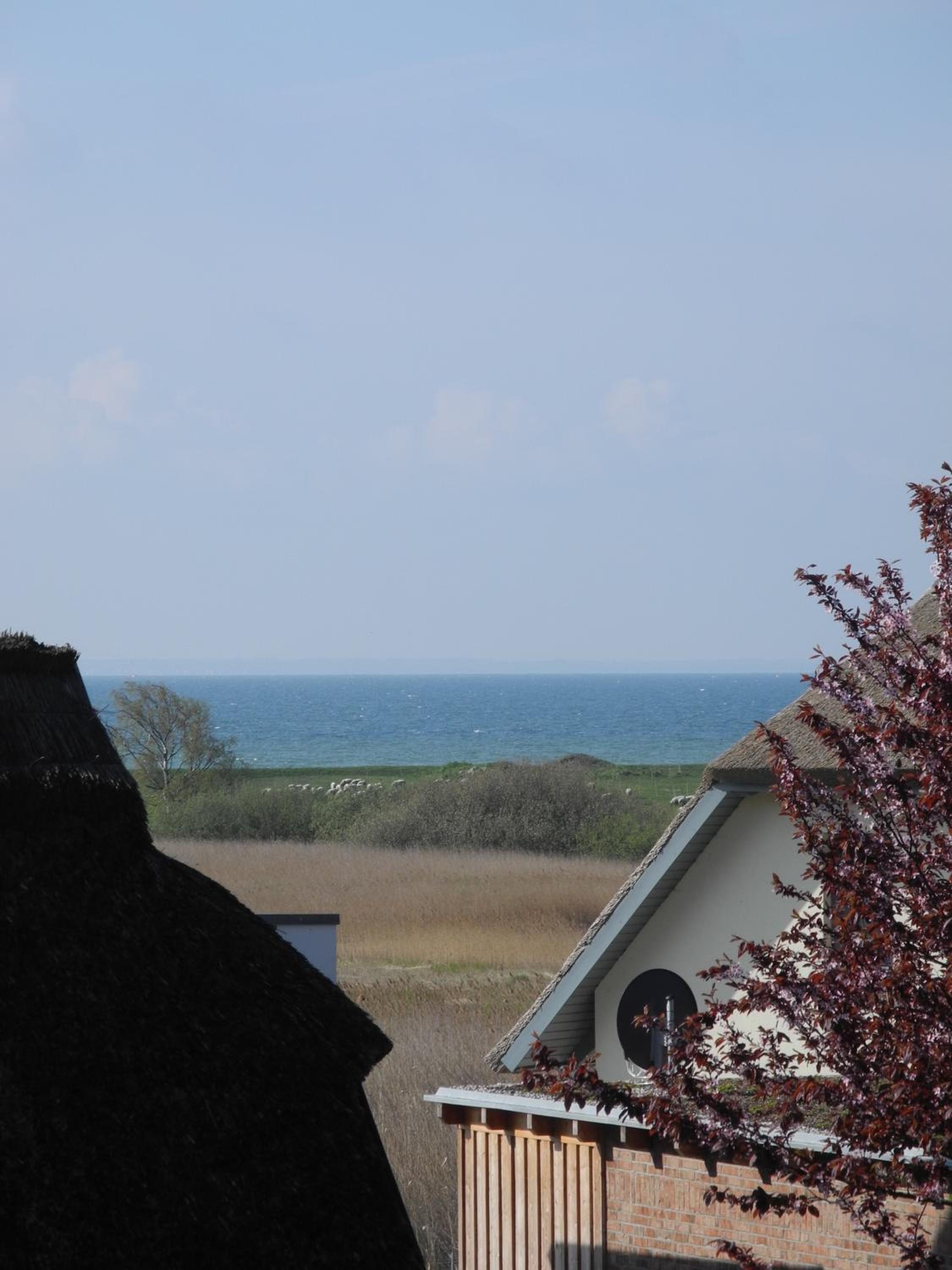 Alte Fischerkate und Möwennest