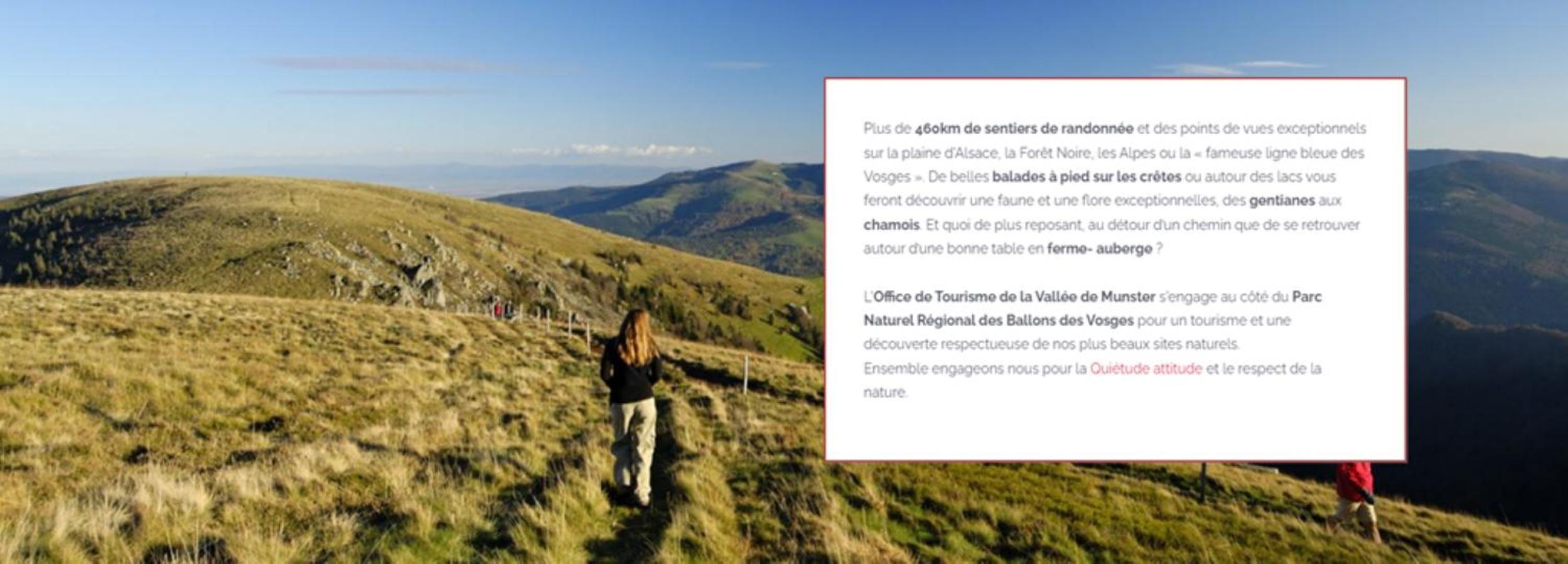MUNSTER camping de la FECHT, photo 3