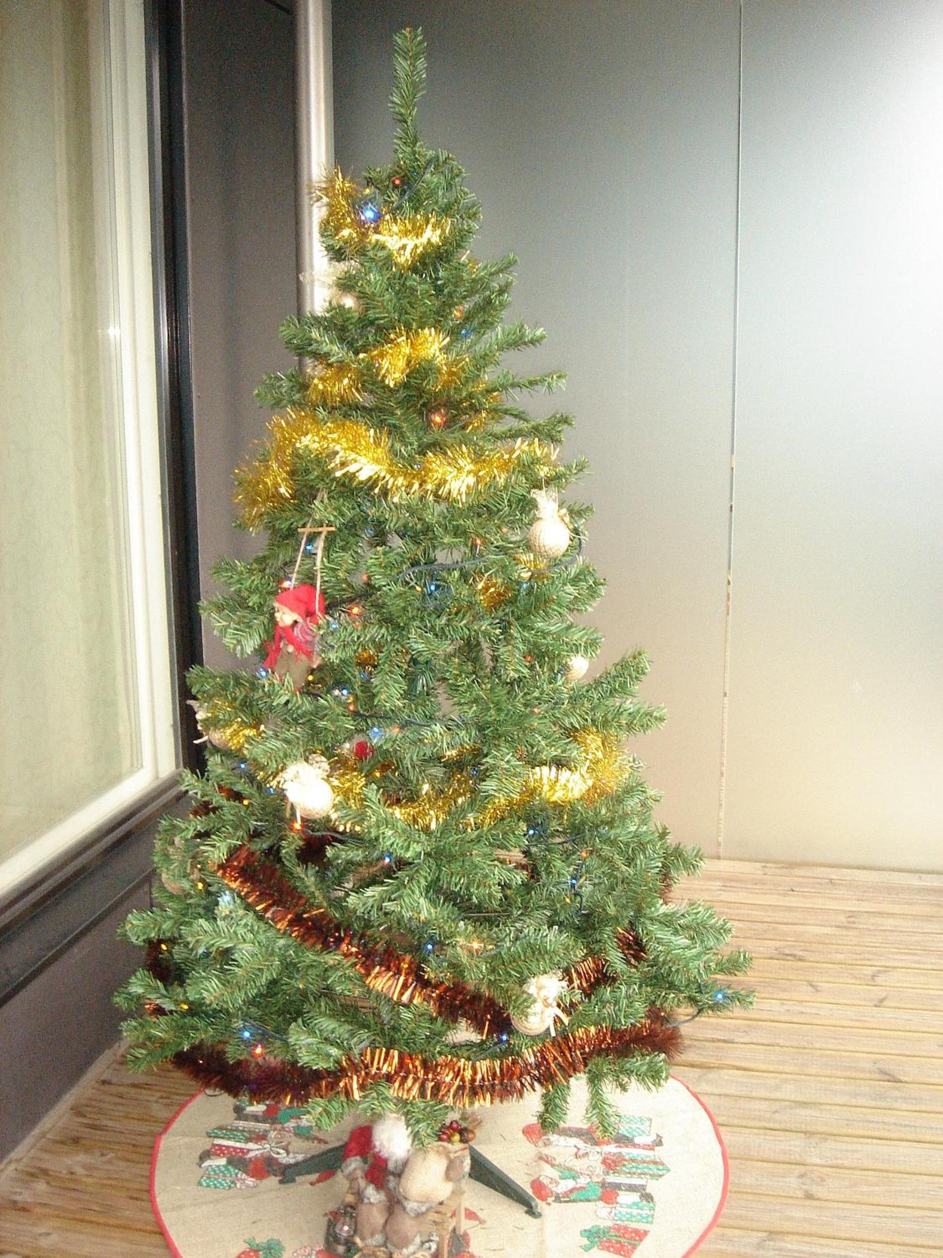 Photo 16