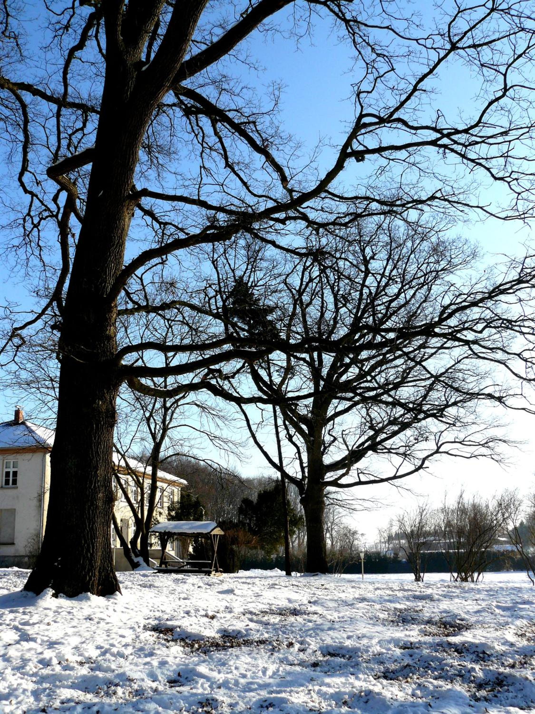 Ostsee-Gutshaus Am Salzhaff Pepelow nähe Rerik- am Meer residieren!