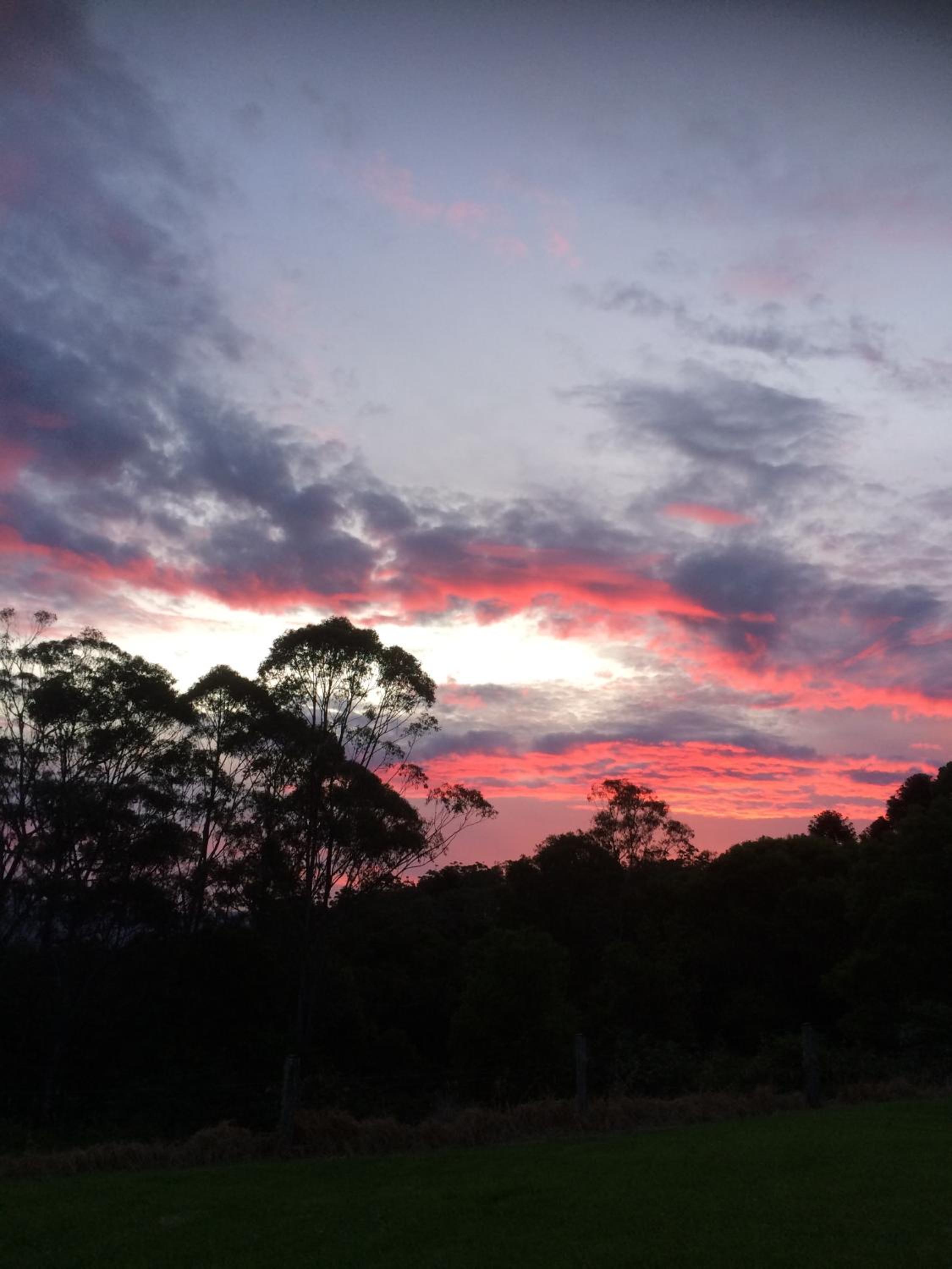 Maleny Luxury Cottages