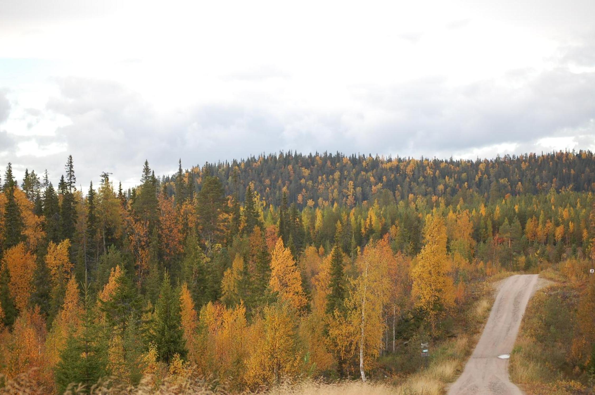 Photo 26