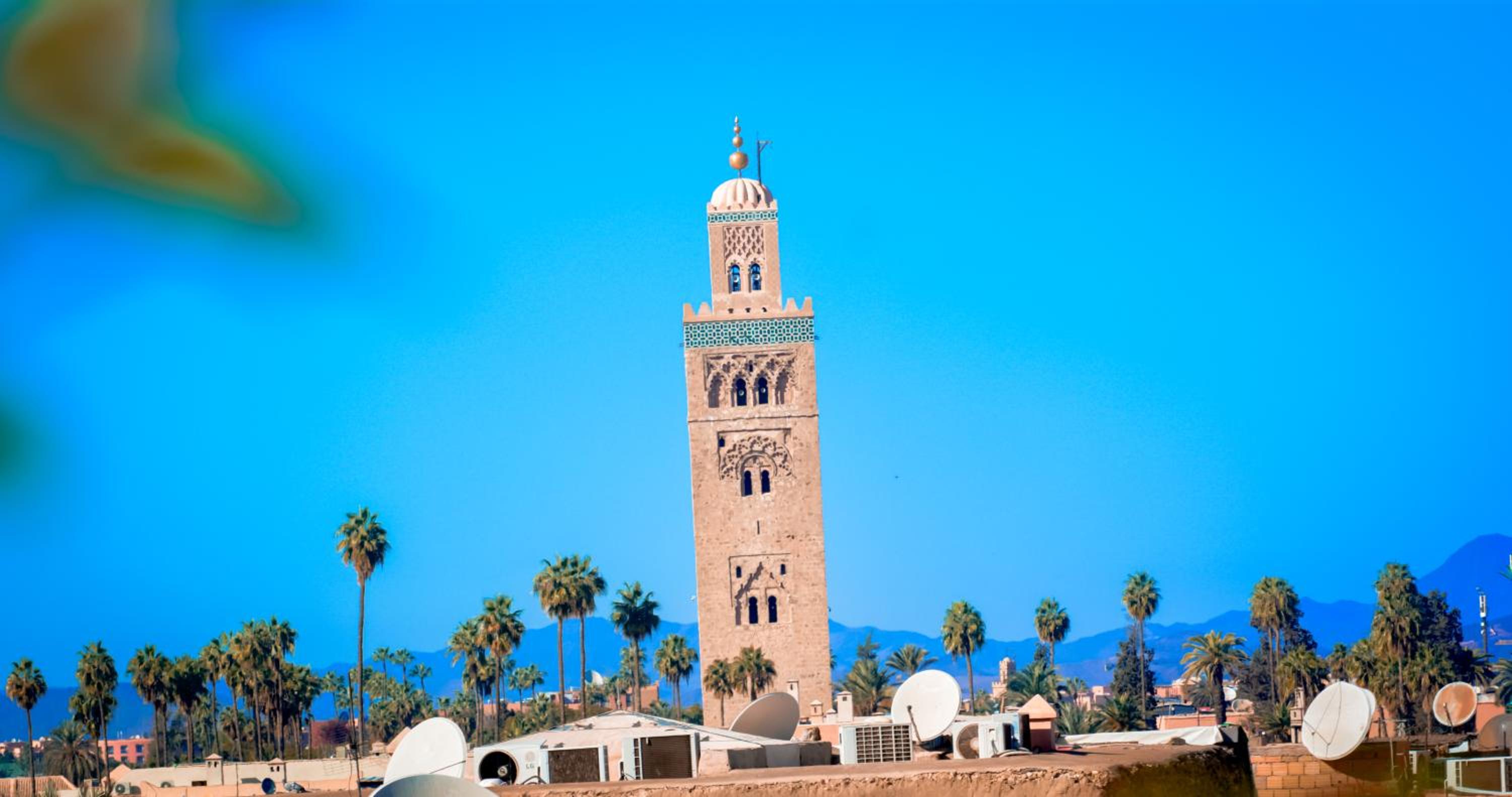 Riad FARASHA