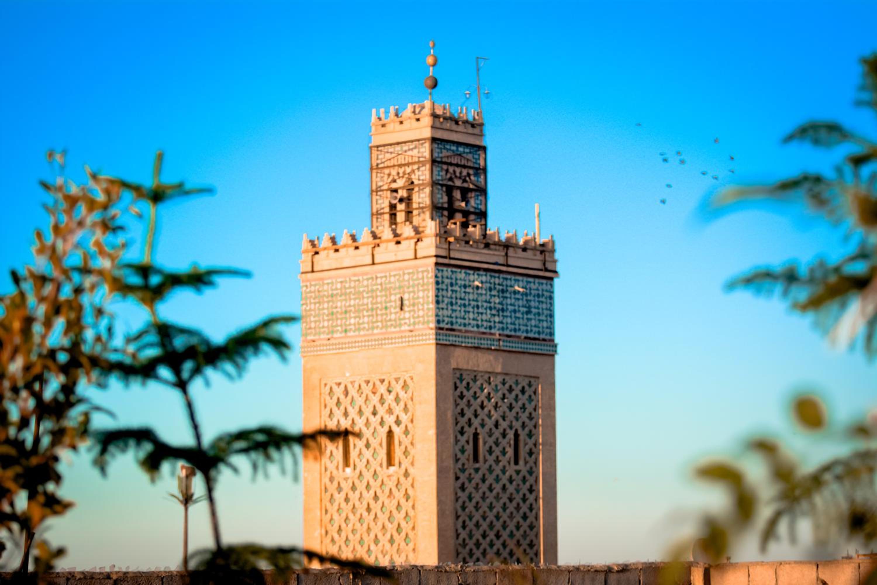 Riad FARASHA